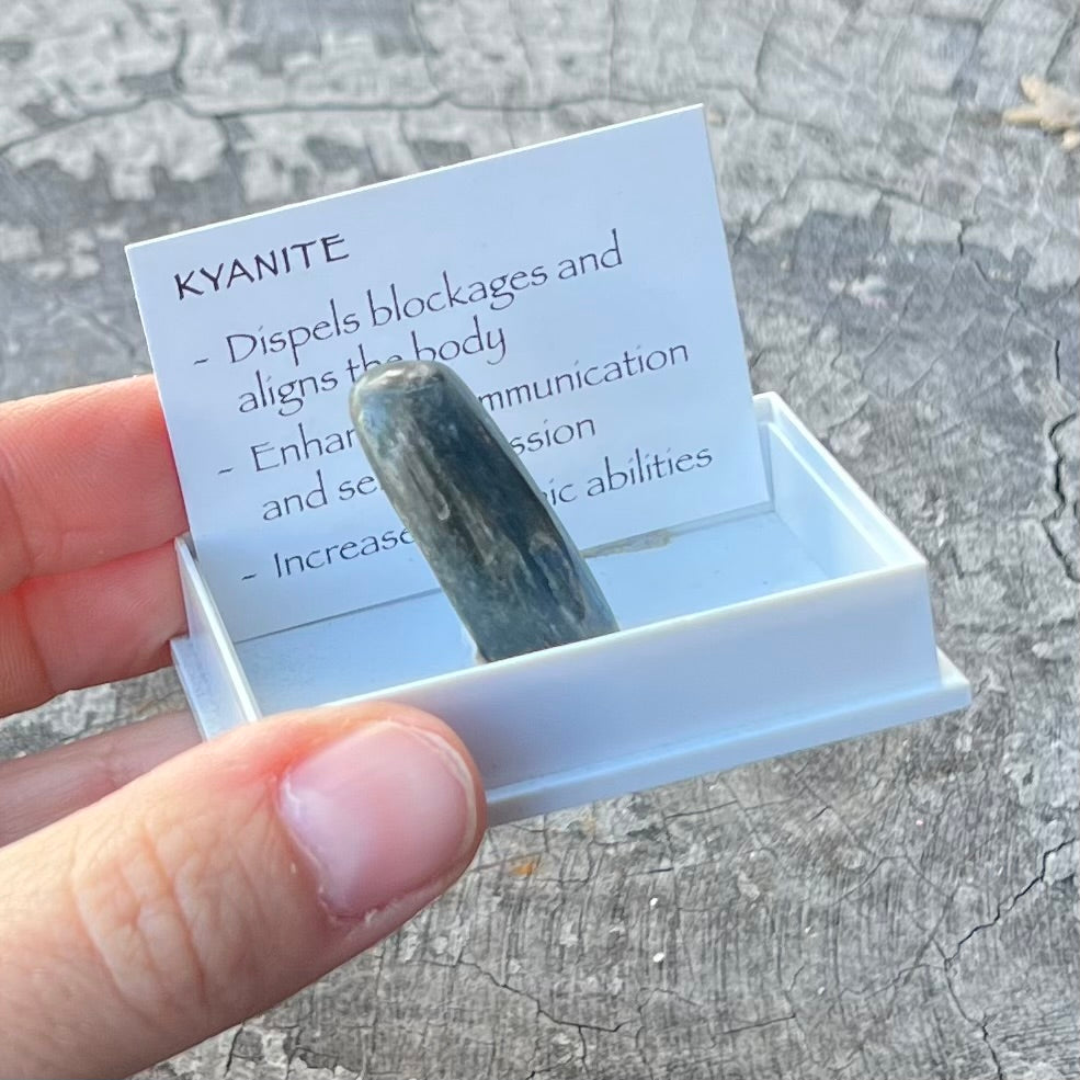 Kyanite Specimen ~ Specialty Boxed Crystal
