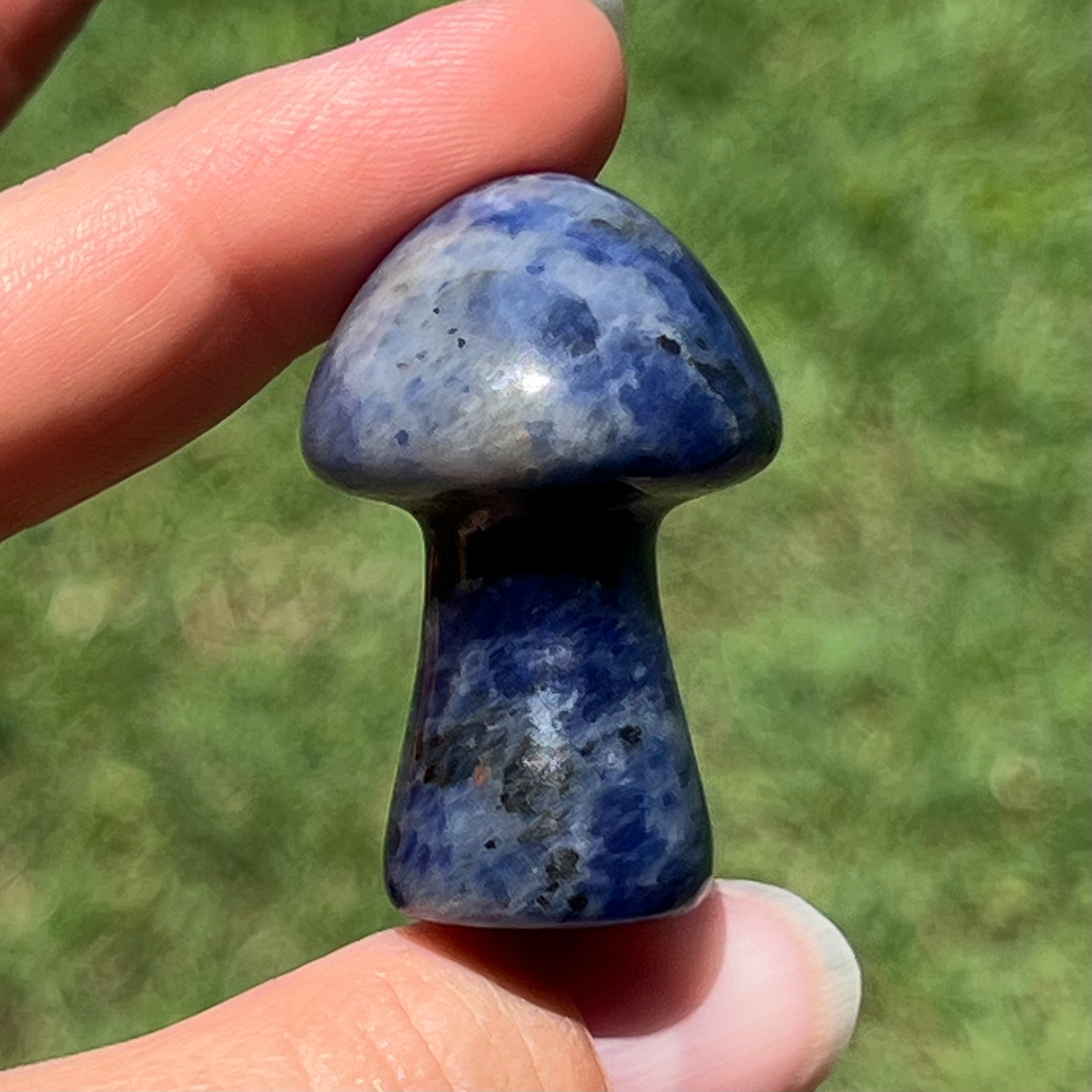 Sodalite Mushroom