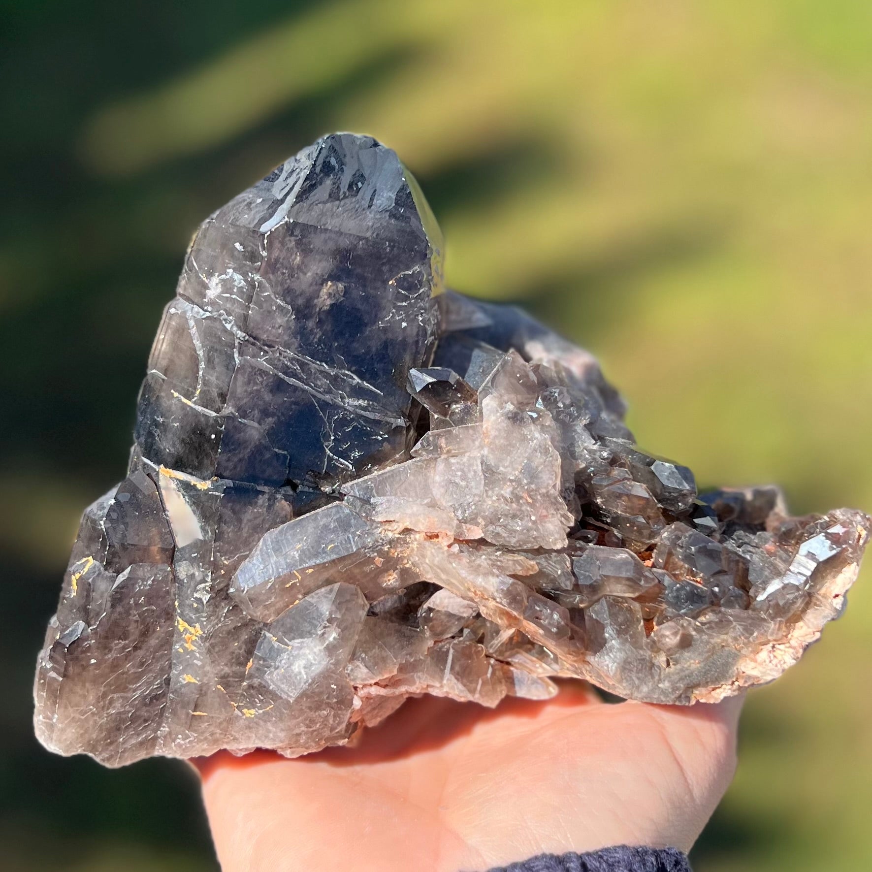 Specular Smokey Quartz Cluster