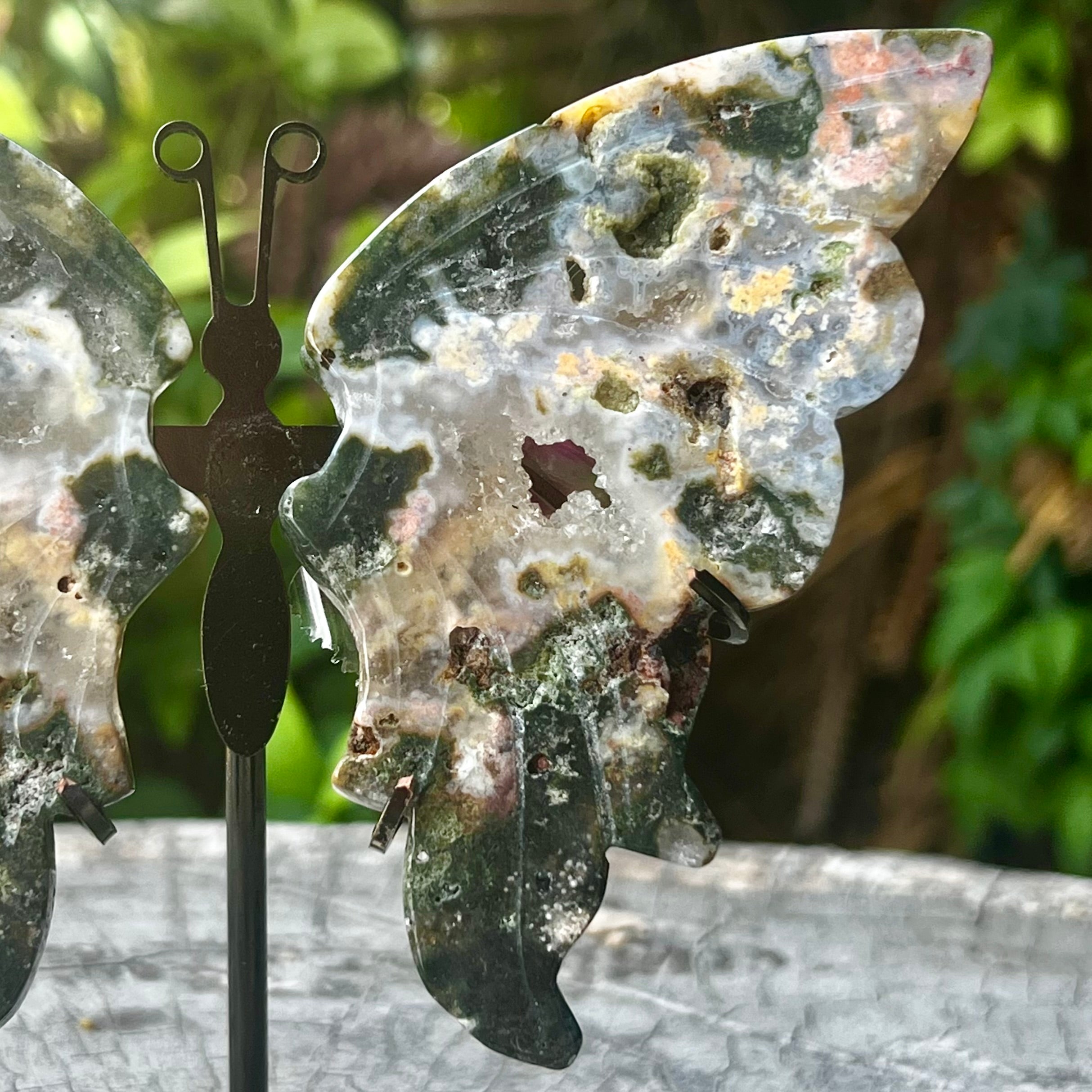 Moss Agate Butterfly on Stand