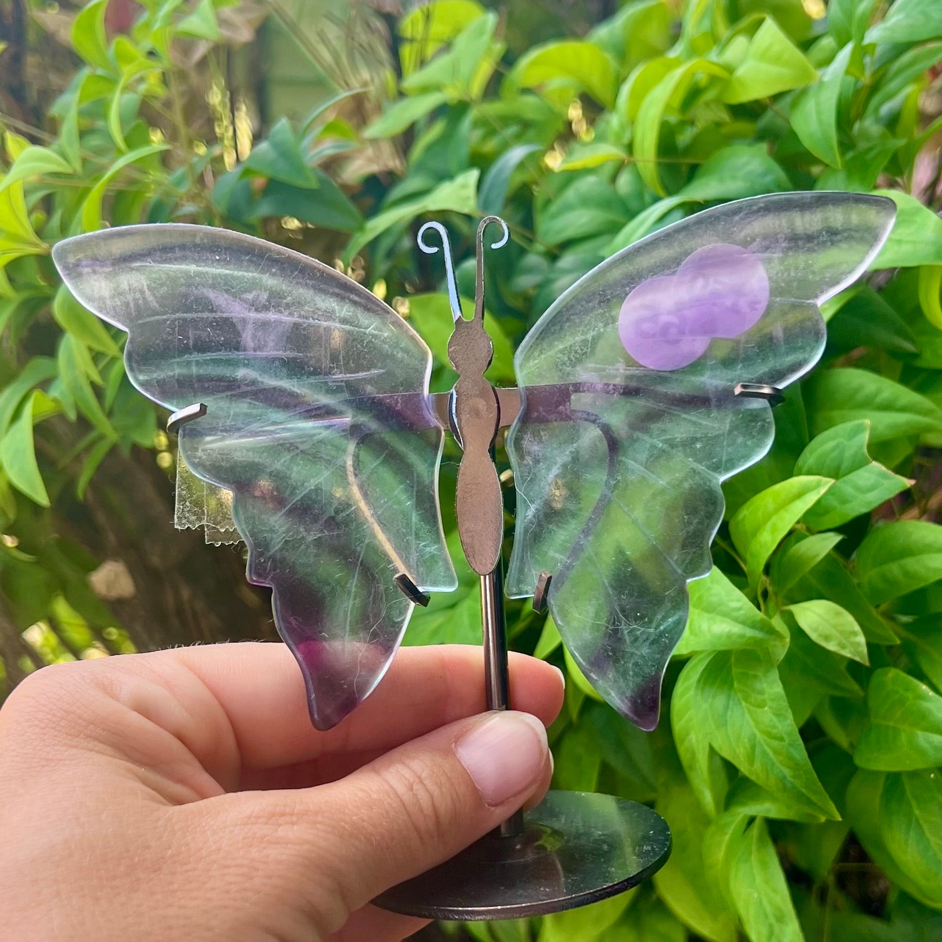 Rainbow Fluorite Butterfly
