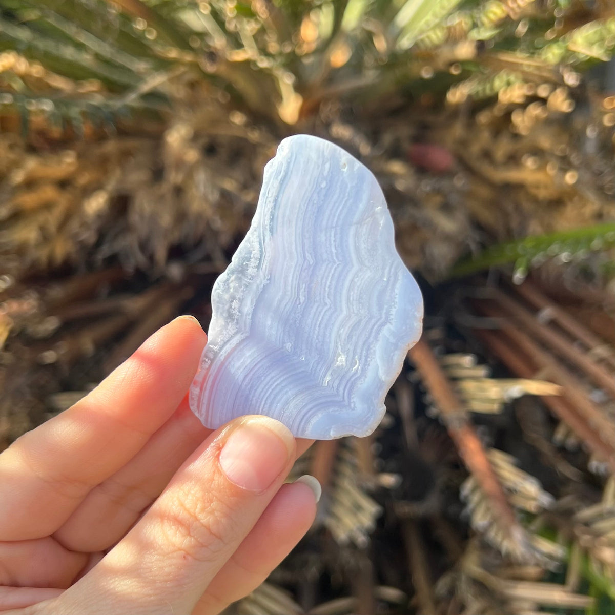 Blue Lace Agate ~ Specialty Boxed Crystal