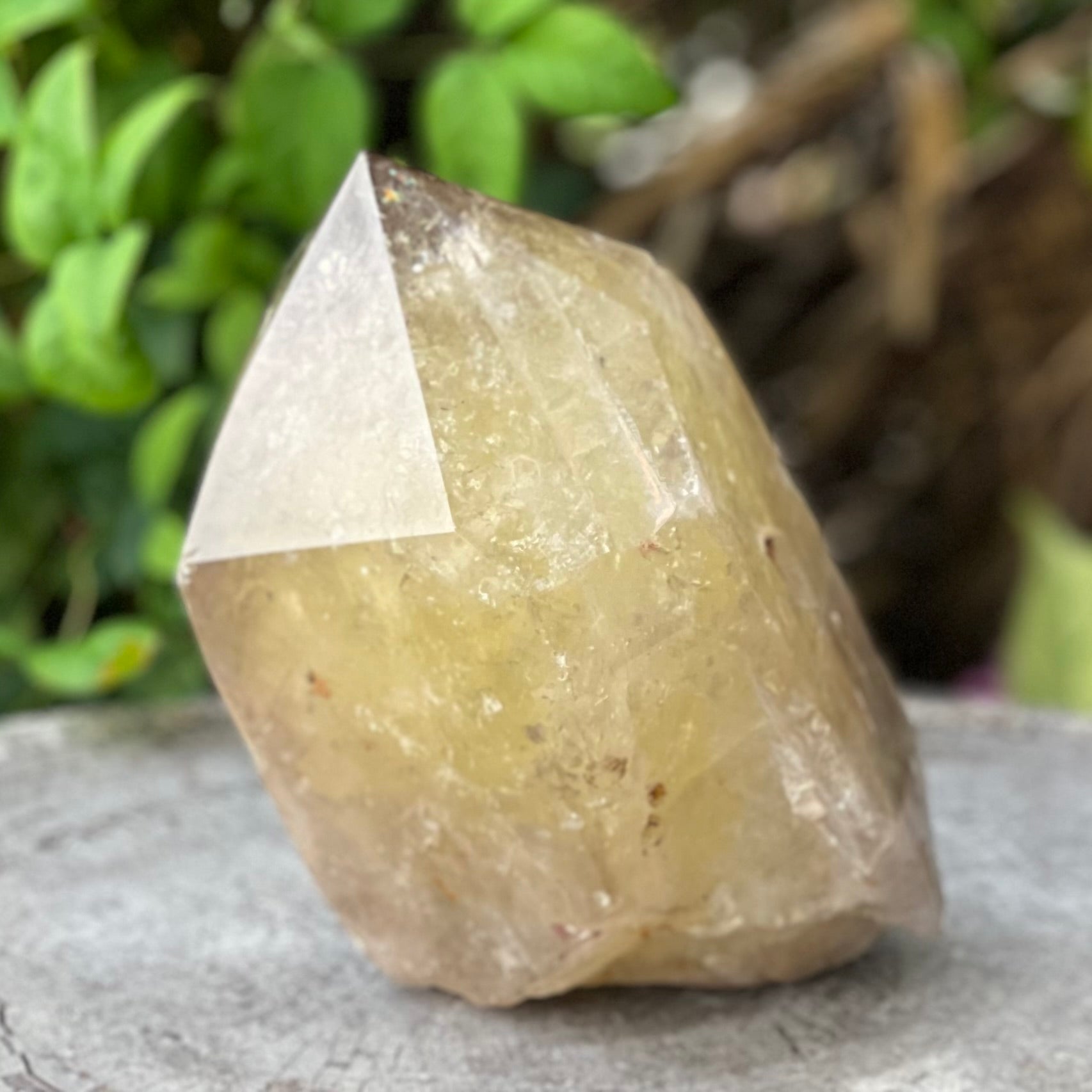 Citrine Semi Raw Point