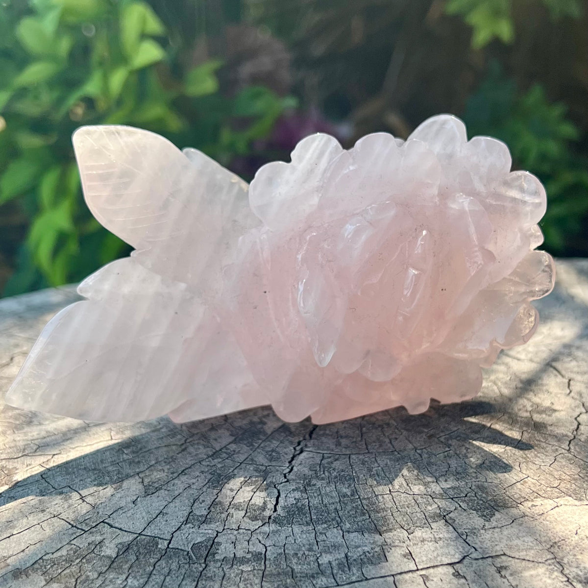 Rose Quartz Rose Carving - Medium – Muse Crystals & Mystical Gifts