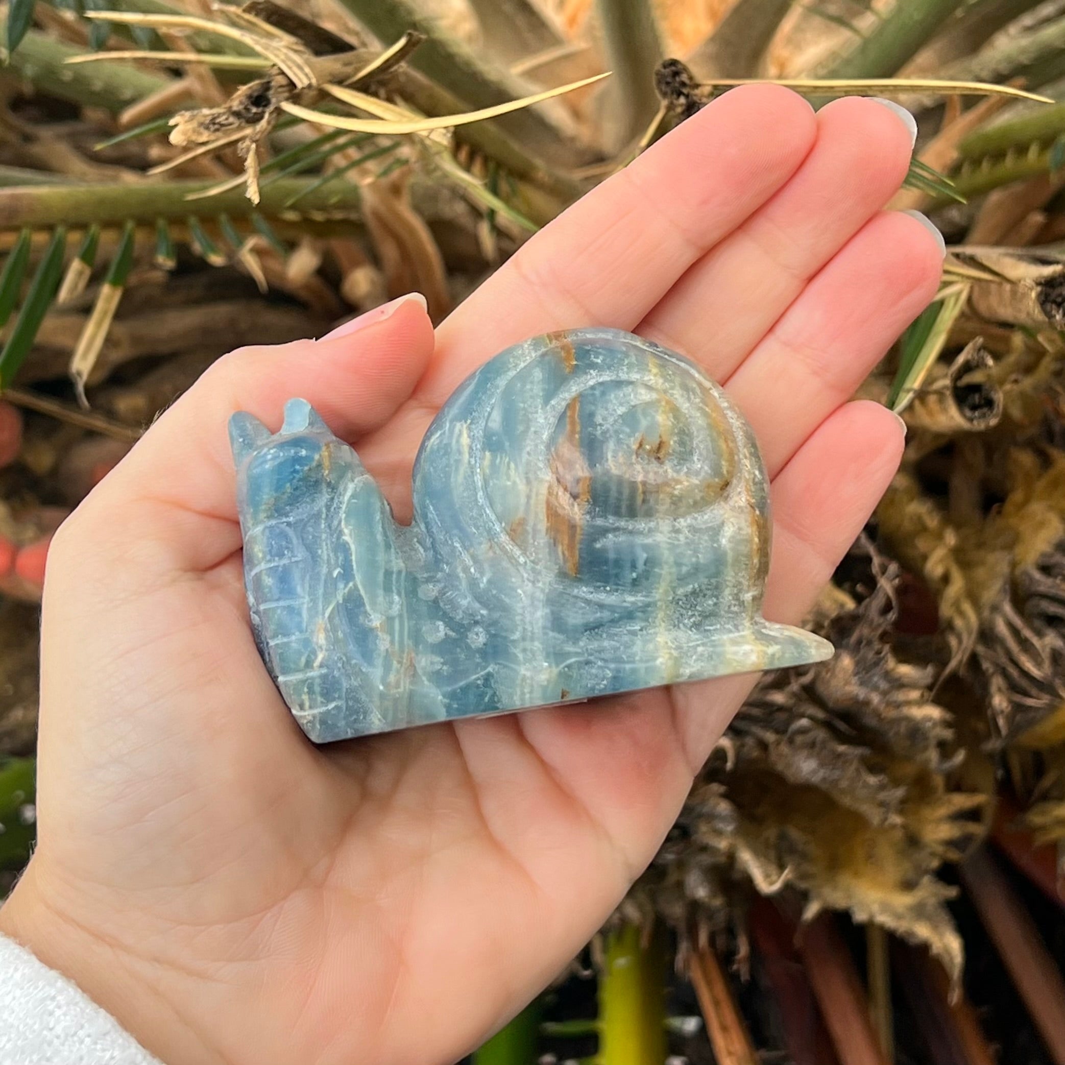 Blue Onyx Snail Carving
