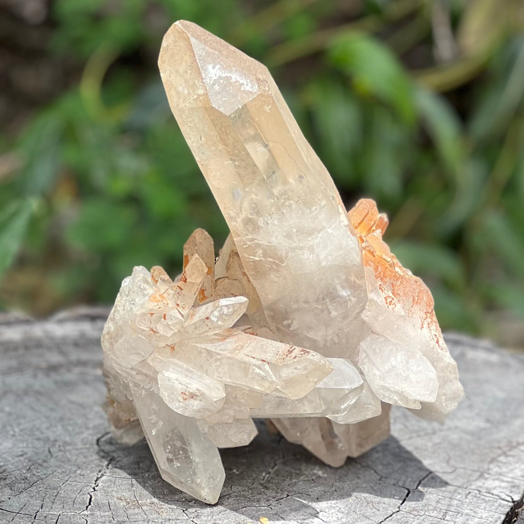 Raw Clear Quartz Natural Cluster of Points