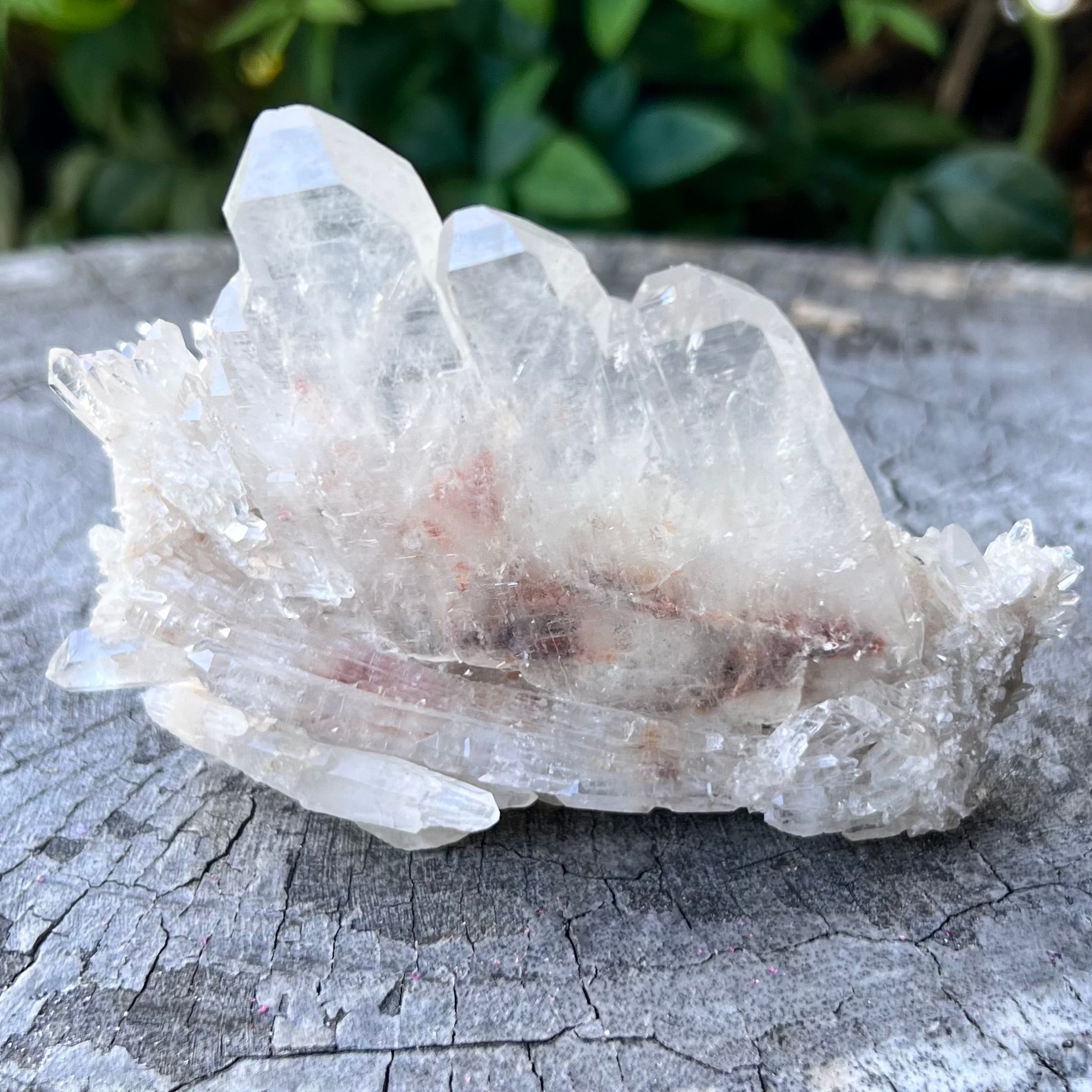 Faden Quartz Family Cluster