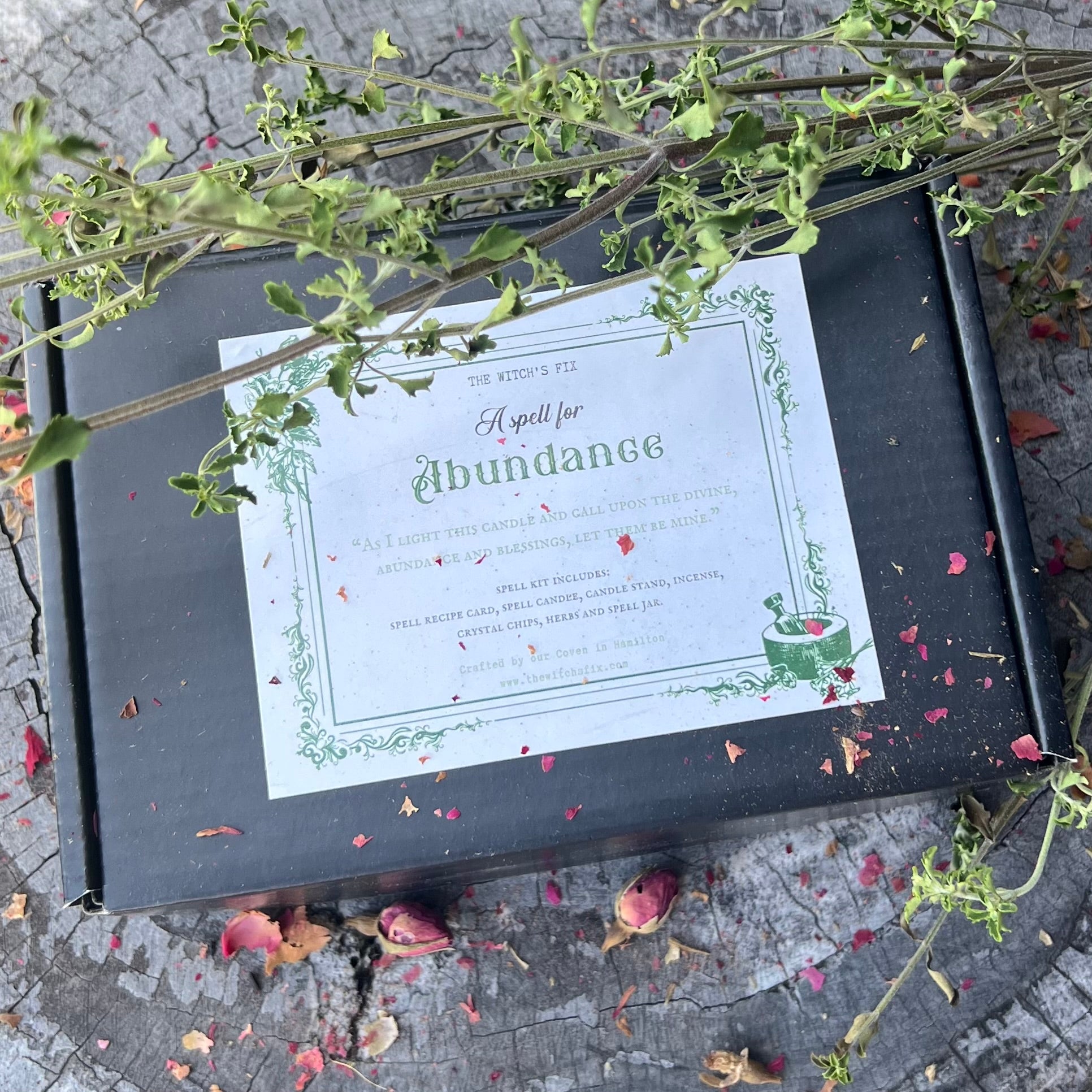 Abundance ~ Spell Kit