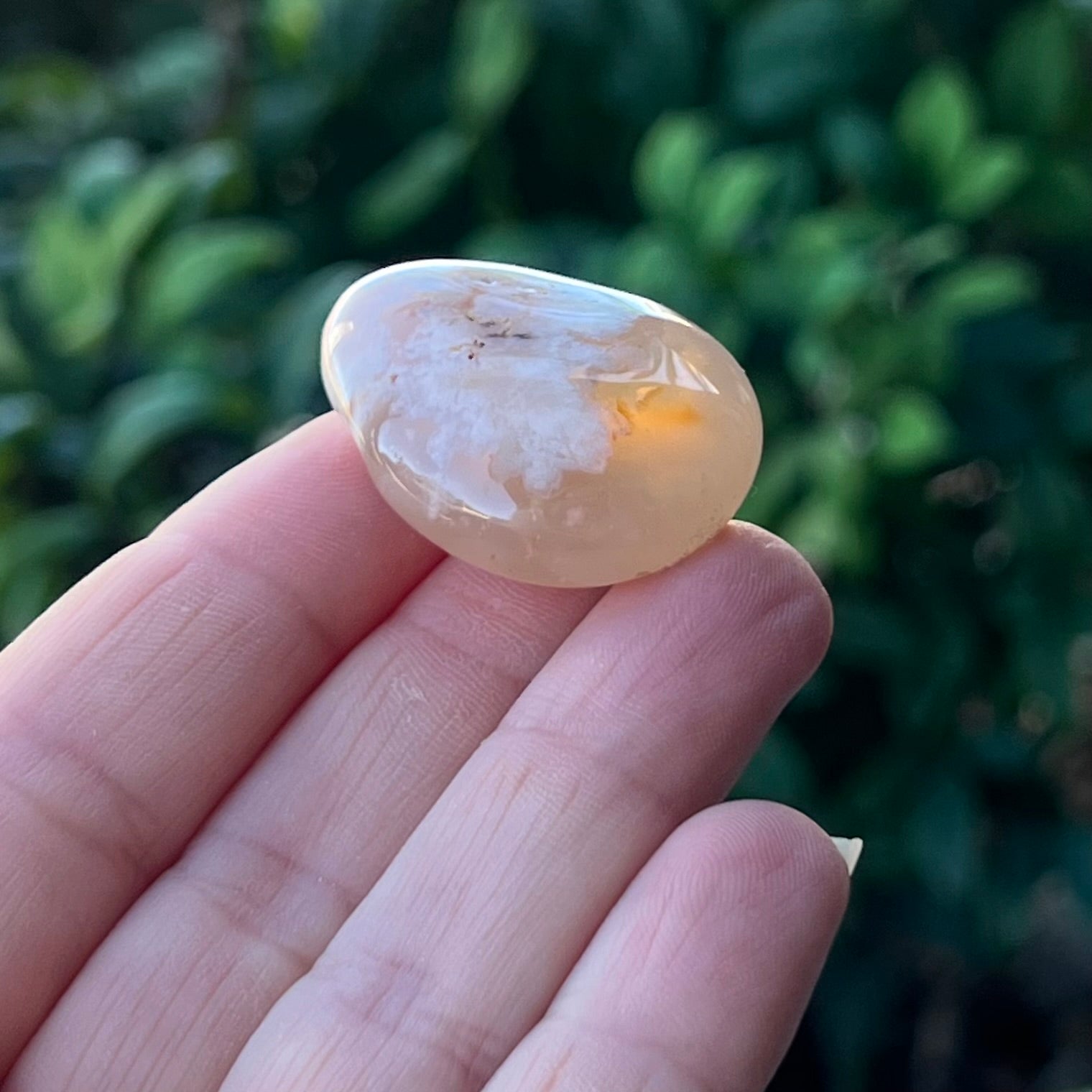 Sakura Agate ~ Specialty Boxed Crystal