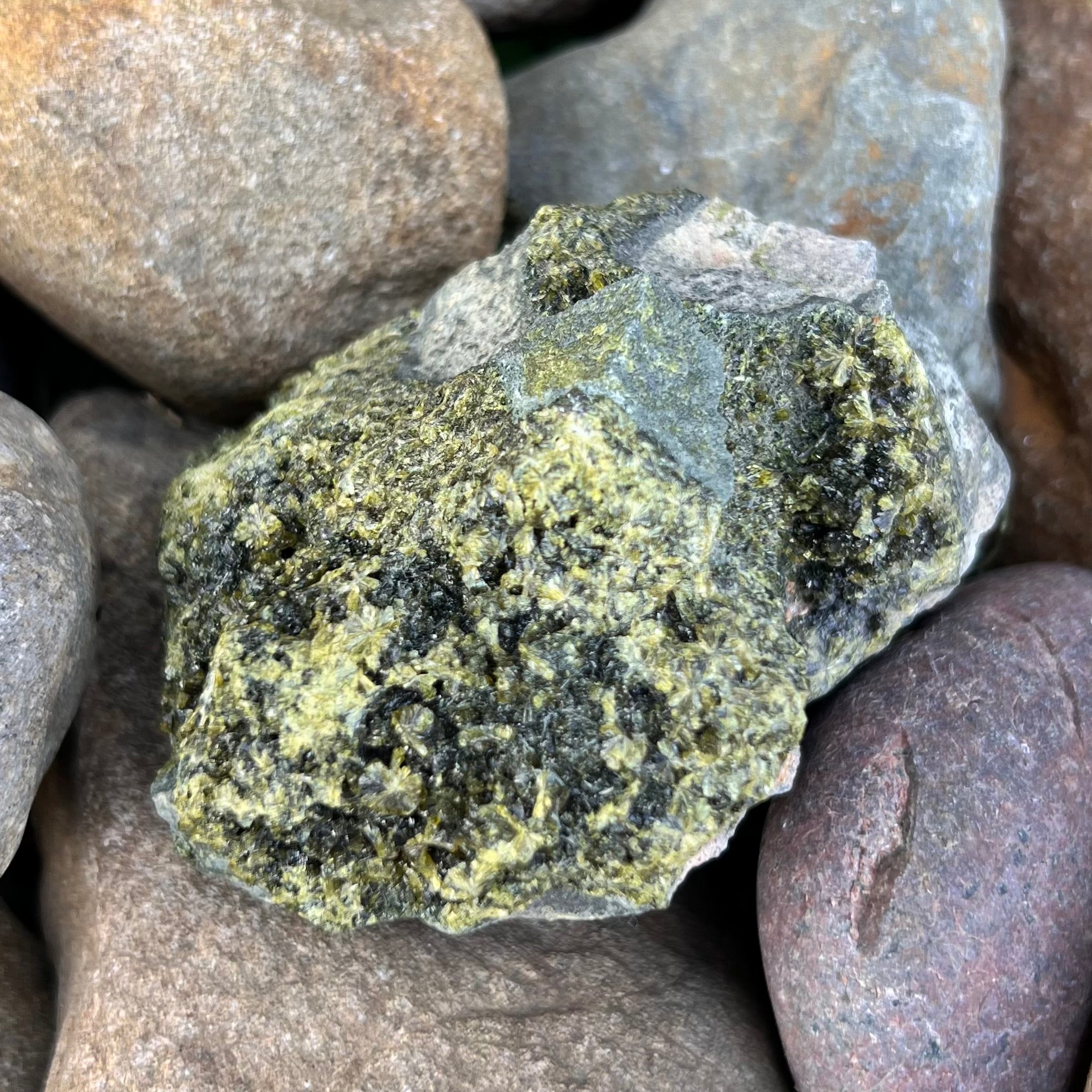 Epidote on Natural Matrix ~ Specialty Crystal