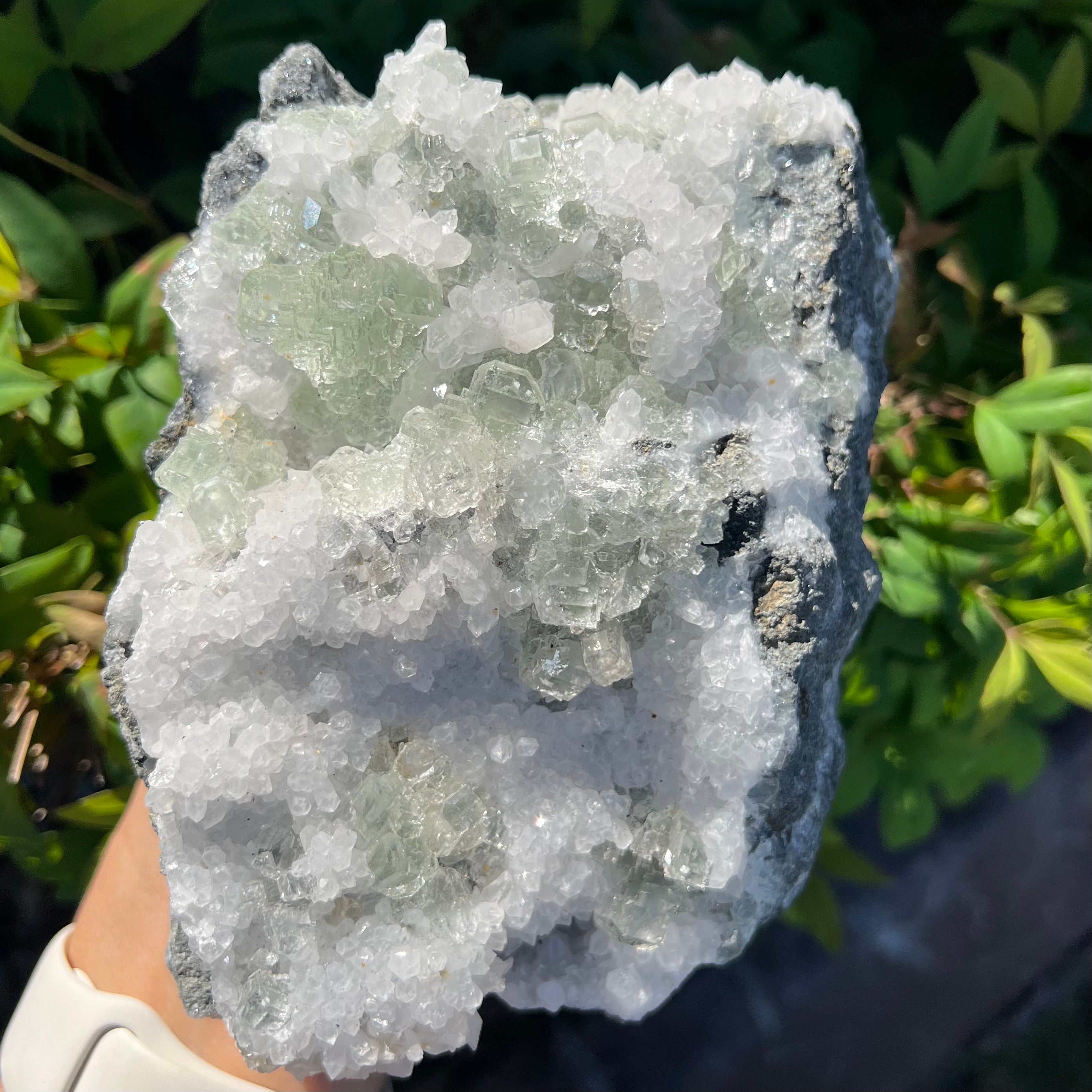 Apophylite Cluster