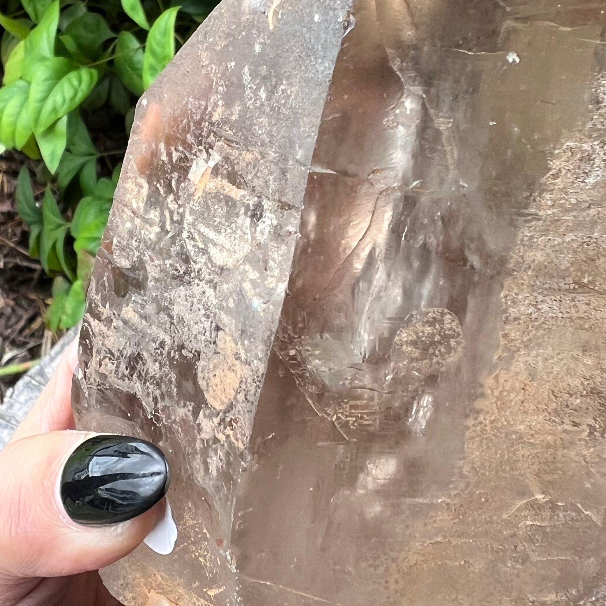 Sensational Citrine Semi Raw Point