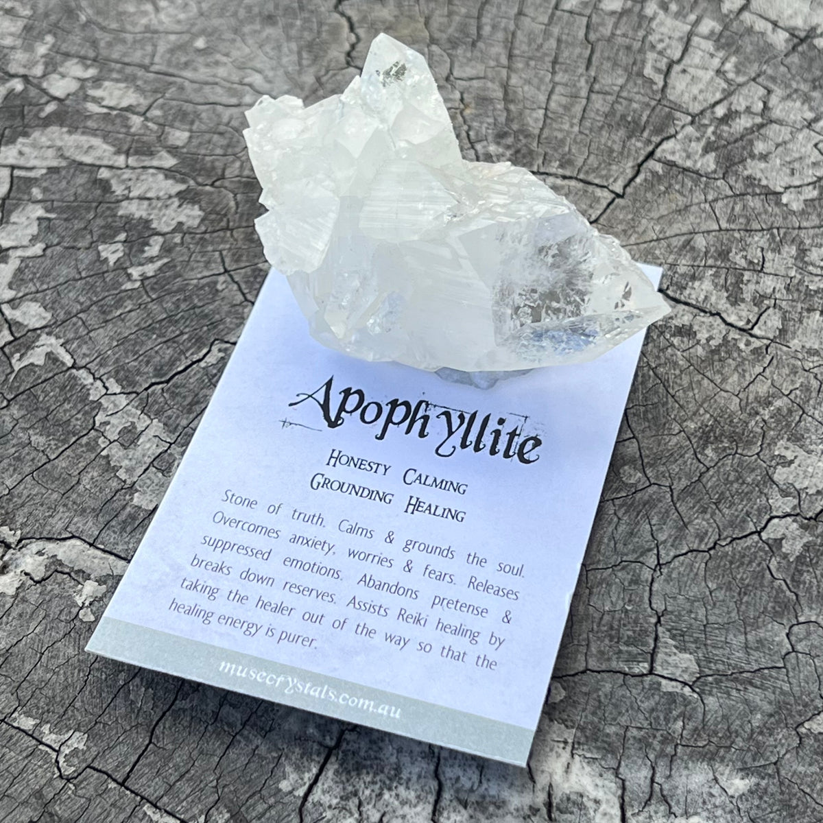 Appophylite Cluster ~ Specialty Boxed Crystal