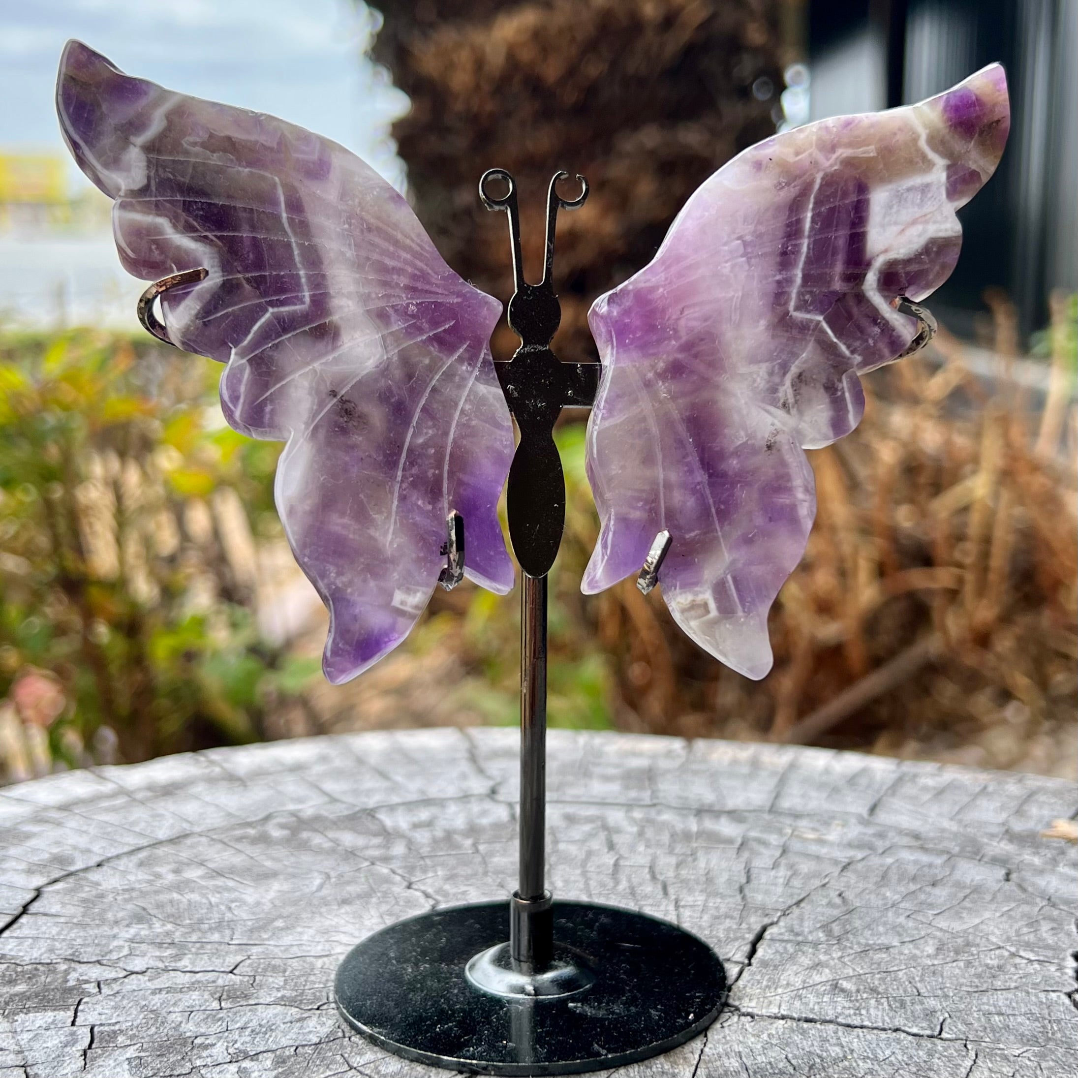 Amethyst Butterfly on Stand