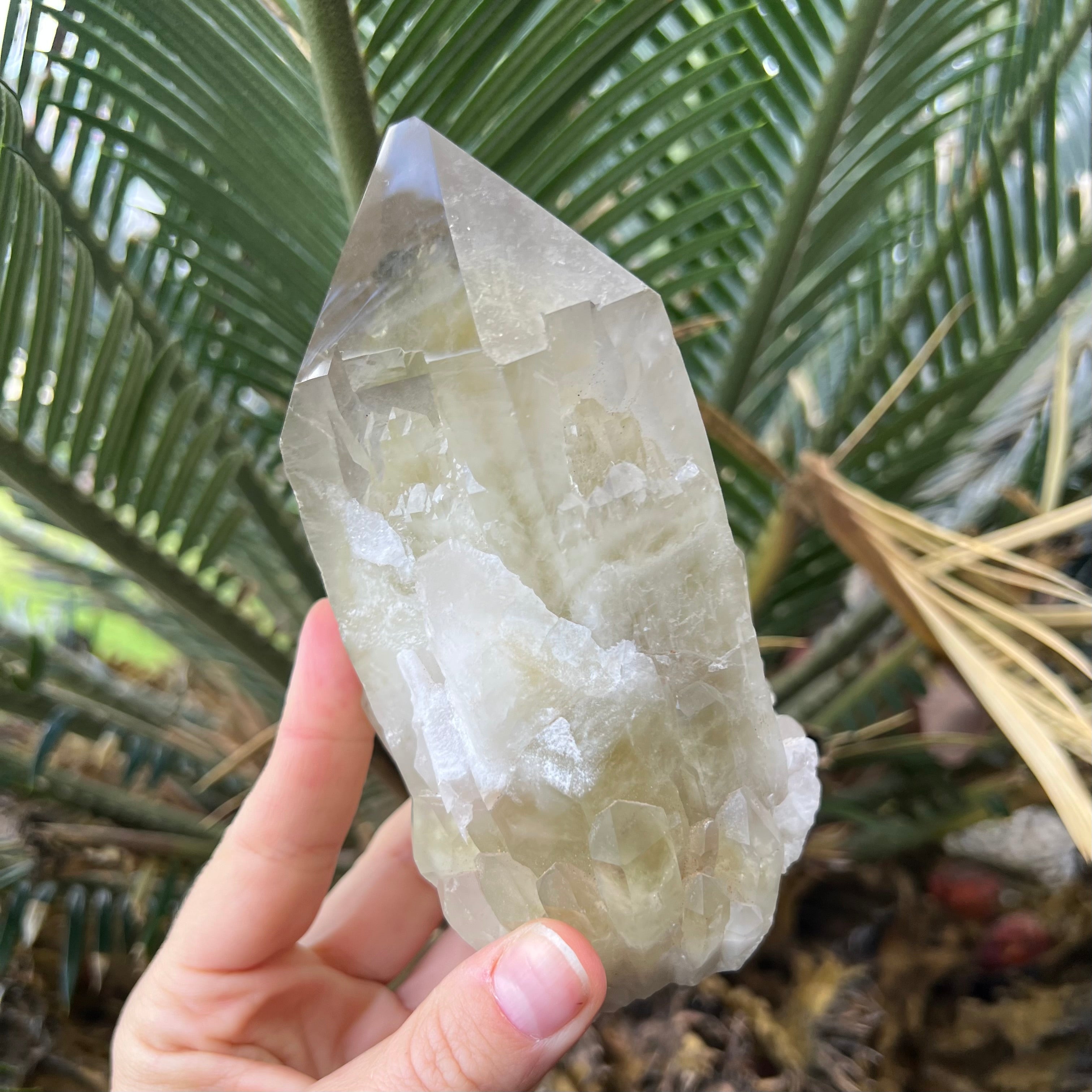 Kundalini Citrine~ Specialty Crystal