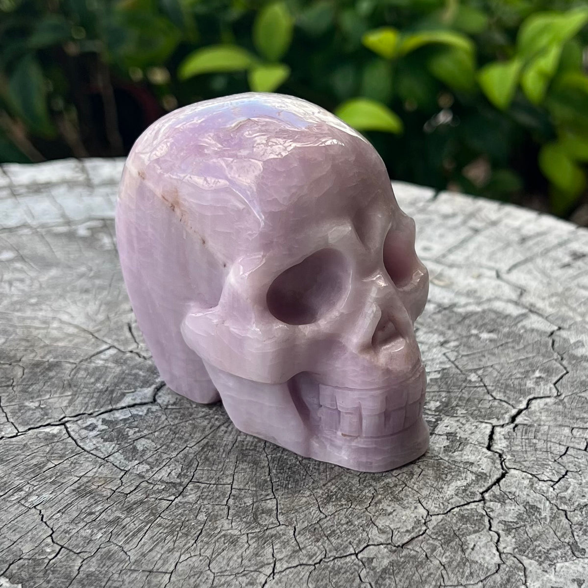 Kunzite Skull ~ Specialty Crystal Carving