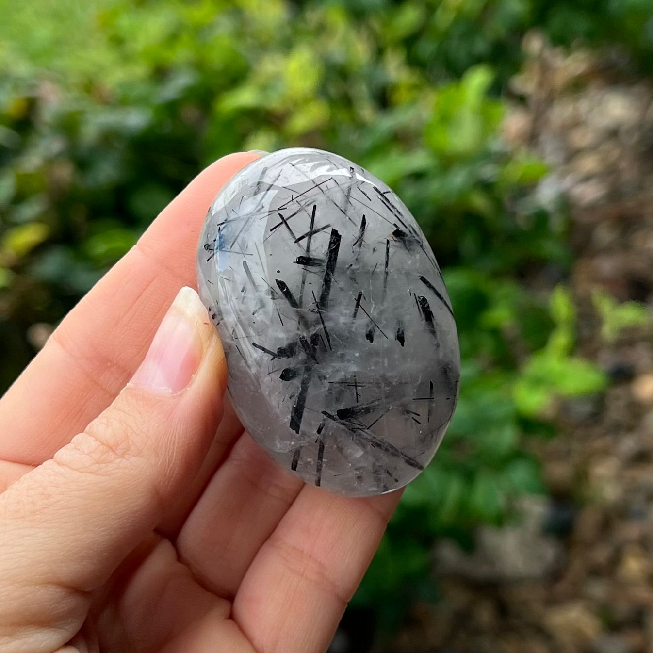 Black Tourmaline in Quartz Palm Stone