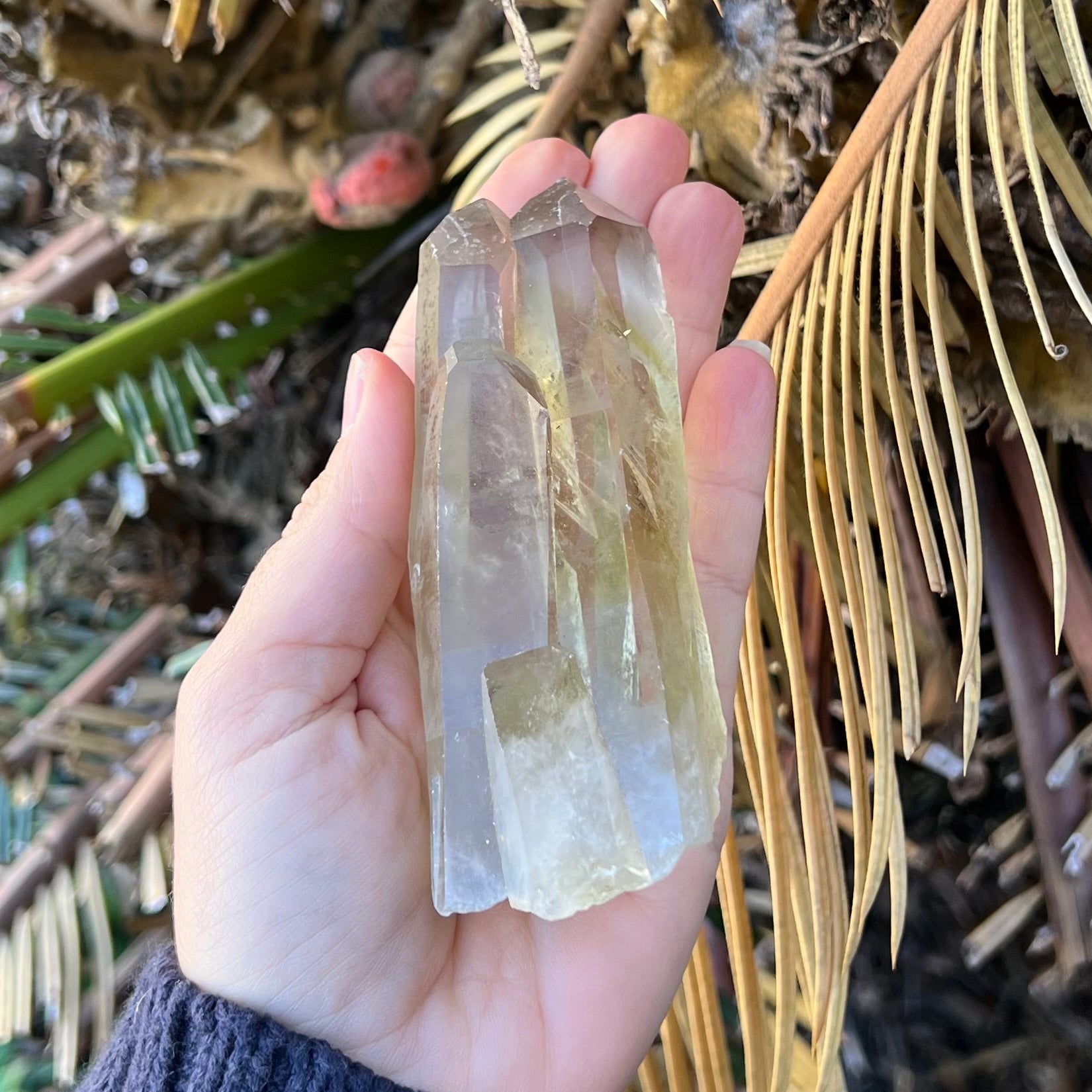 Citrine ~ Natural Cluster