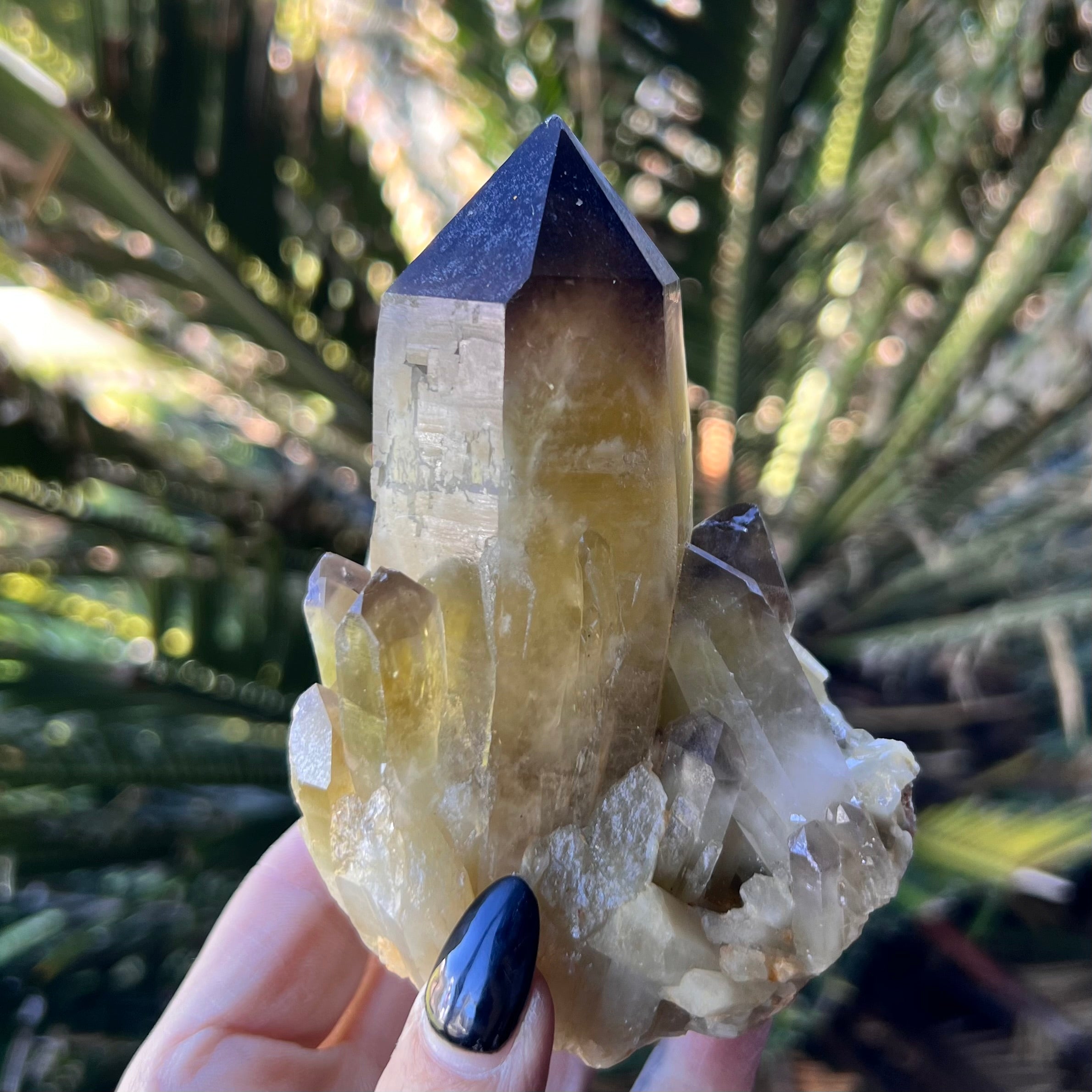Smoky Citrine ~ Raw Point with Clusters