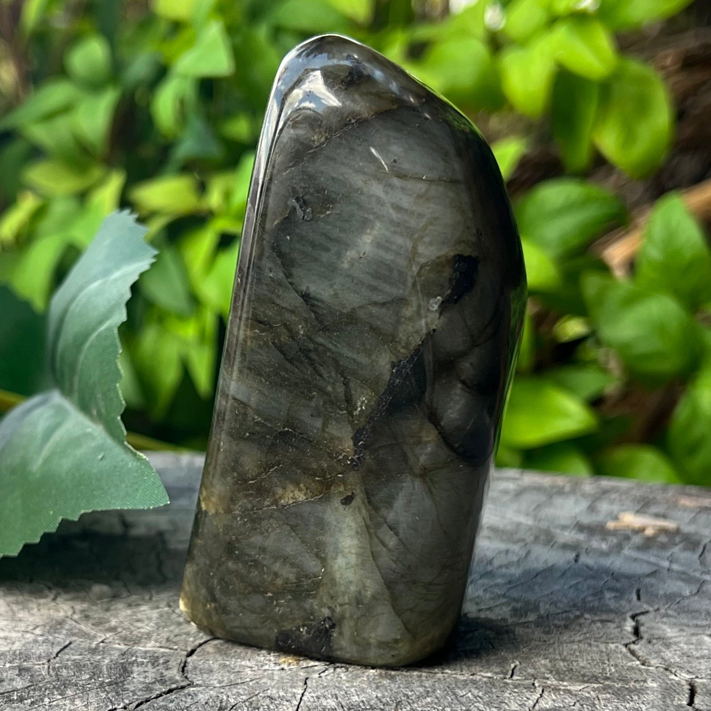 Labradorite Freeform