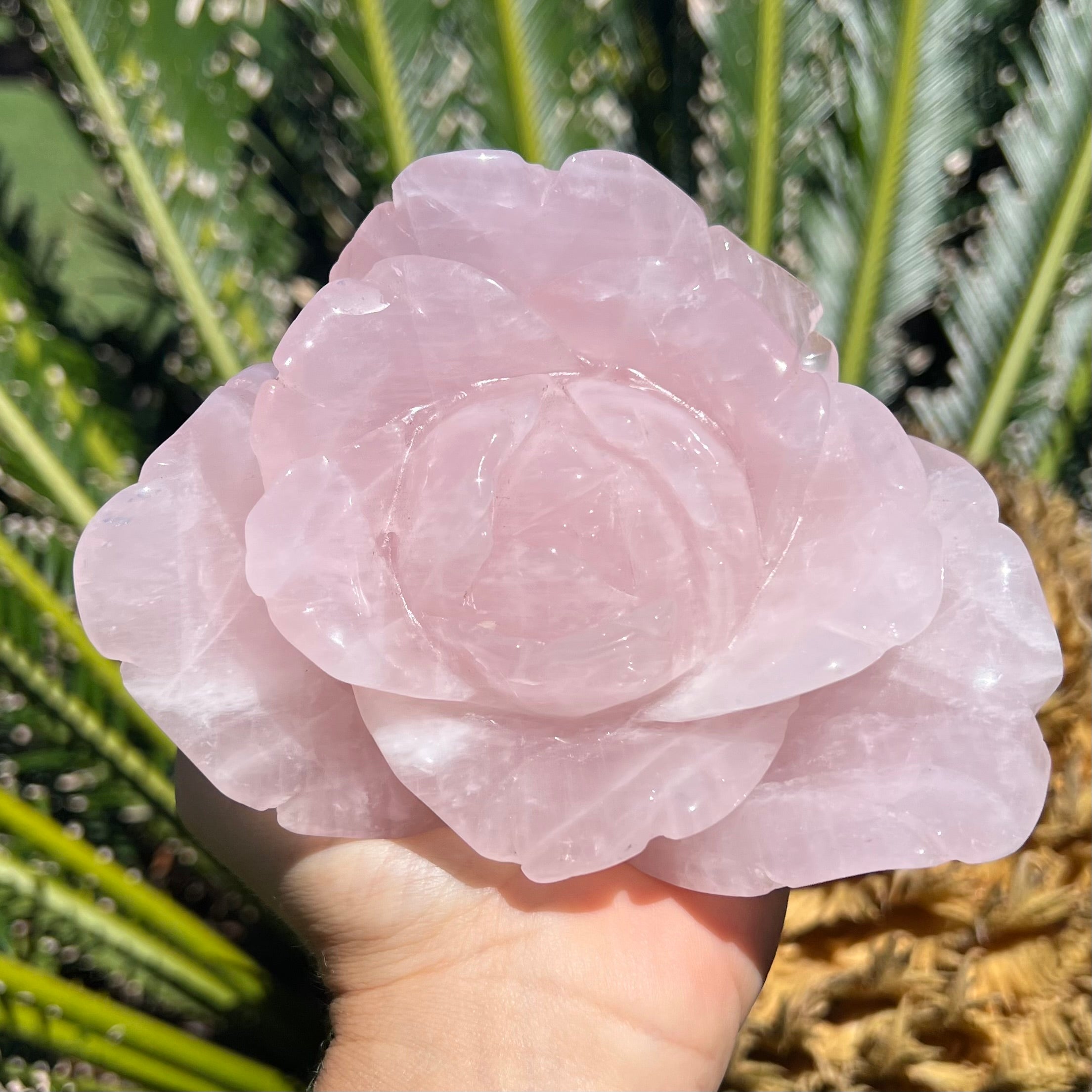 Rose Quartz Rose Carving - Large