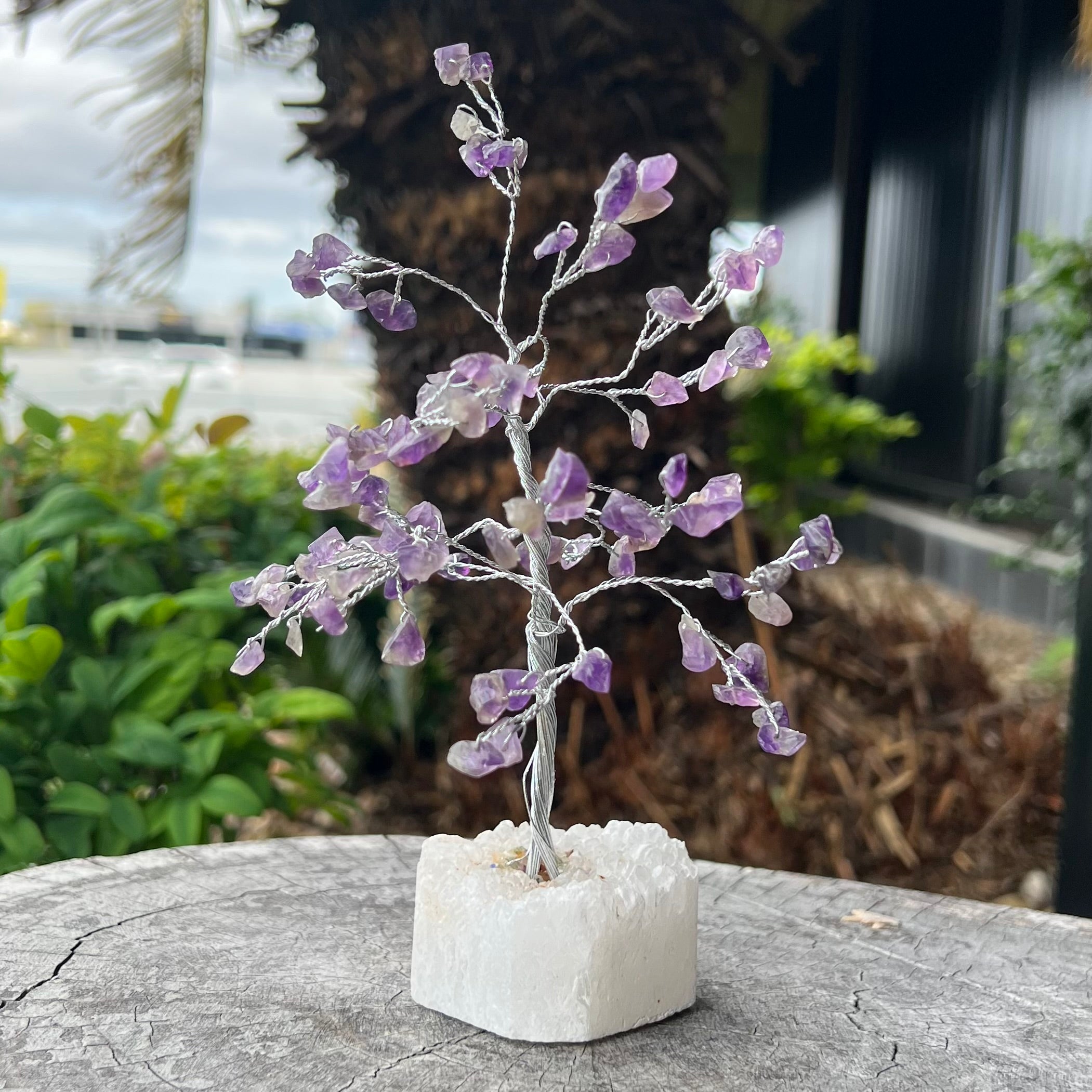 Amethyst ~ Tranquility Blessing Tree