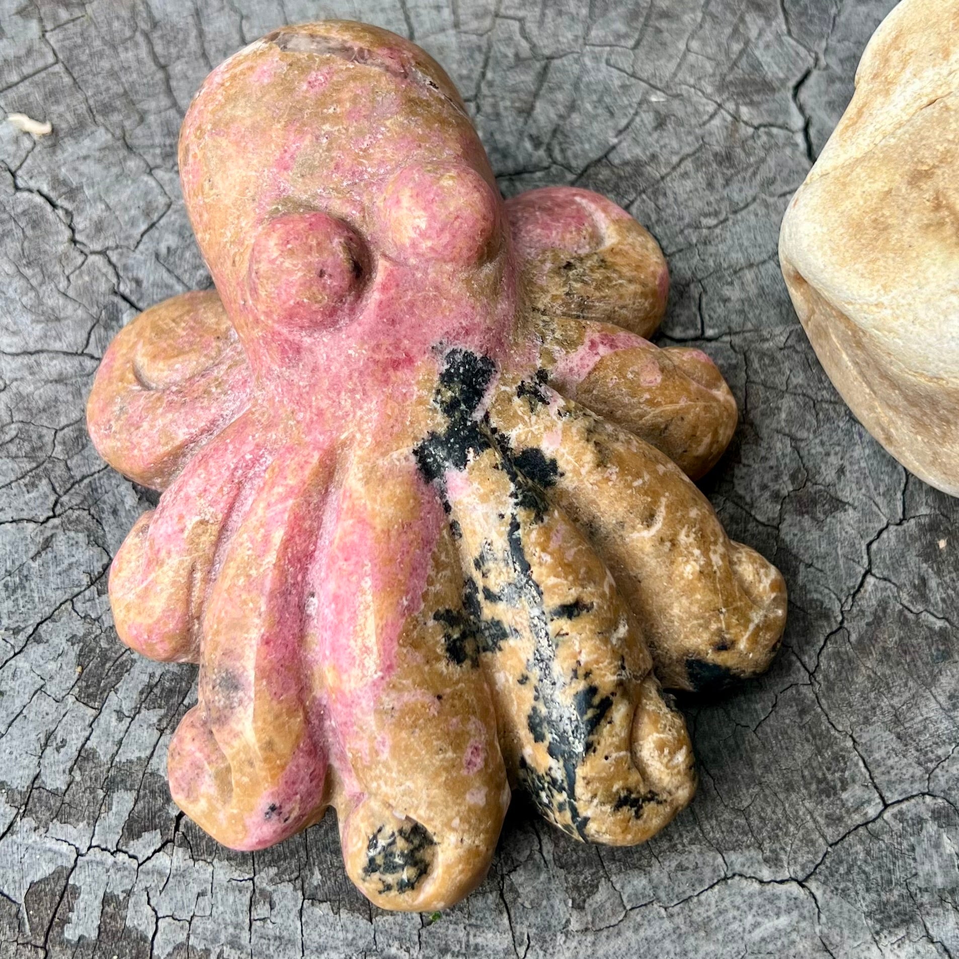 Rhodonite Octopus Carving
