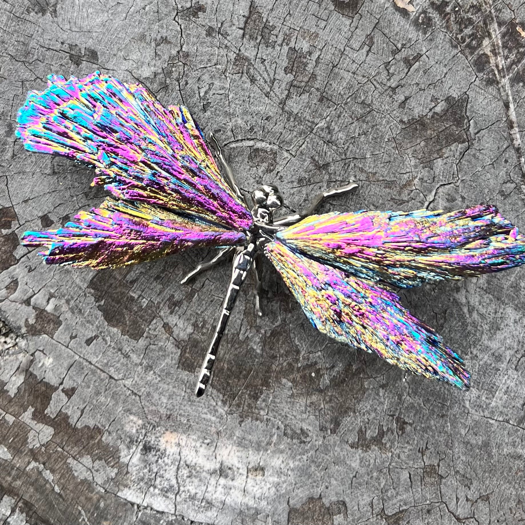 Dragon Fly ~ Rainbow Kyanite Electroplate