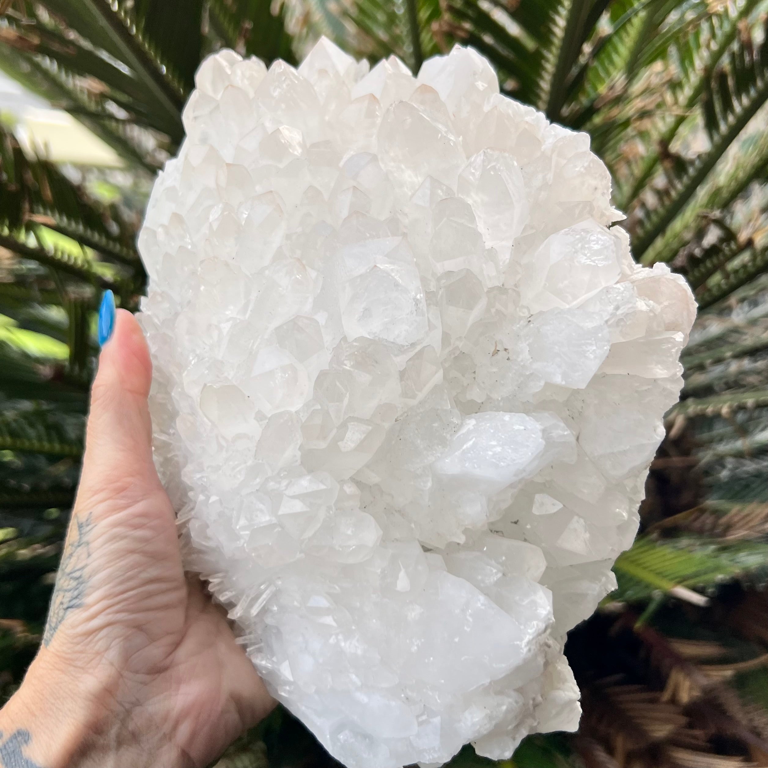 Raw Clear Quartz Natural Cluster of Points