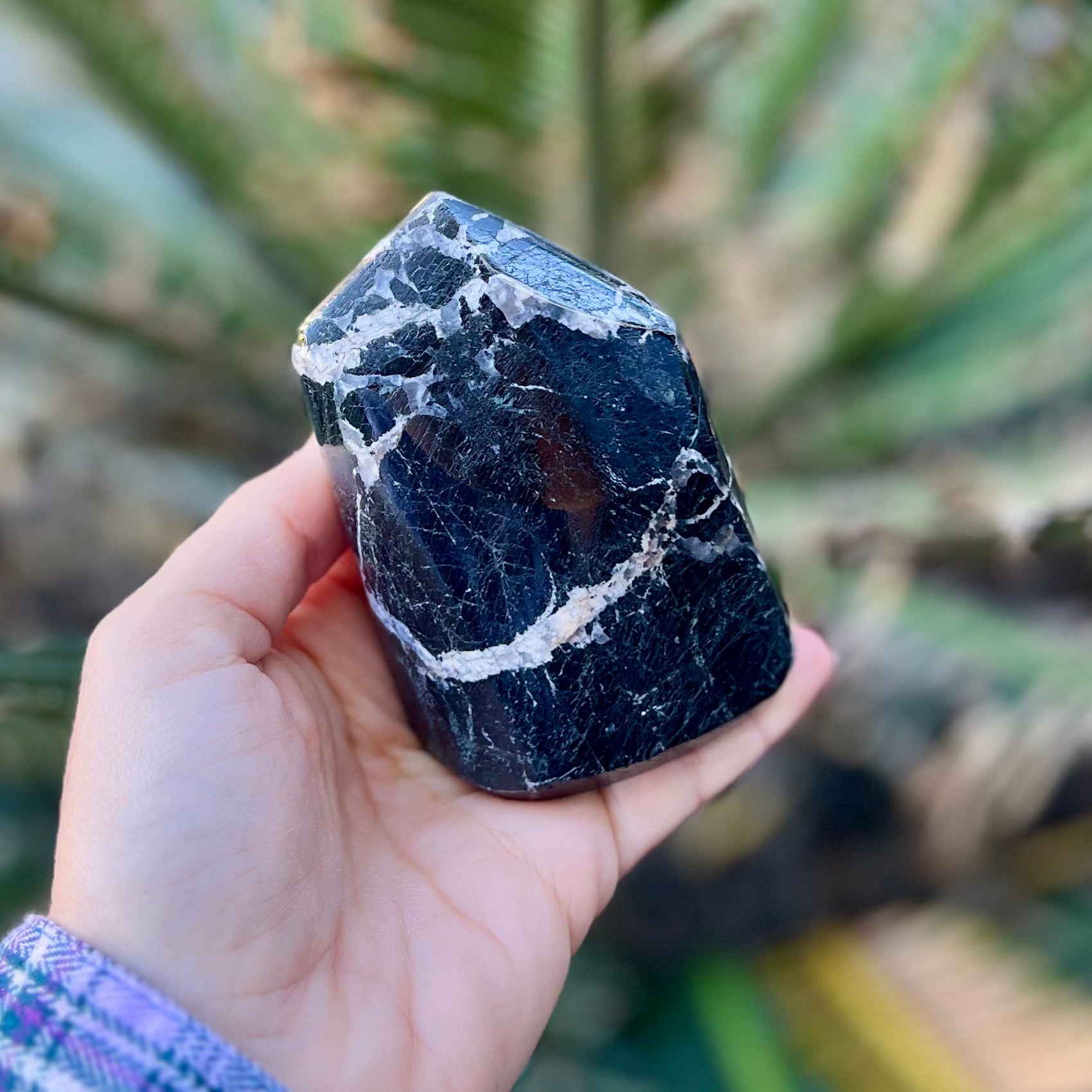 Black Tourmaline Freeform