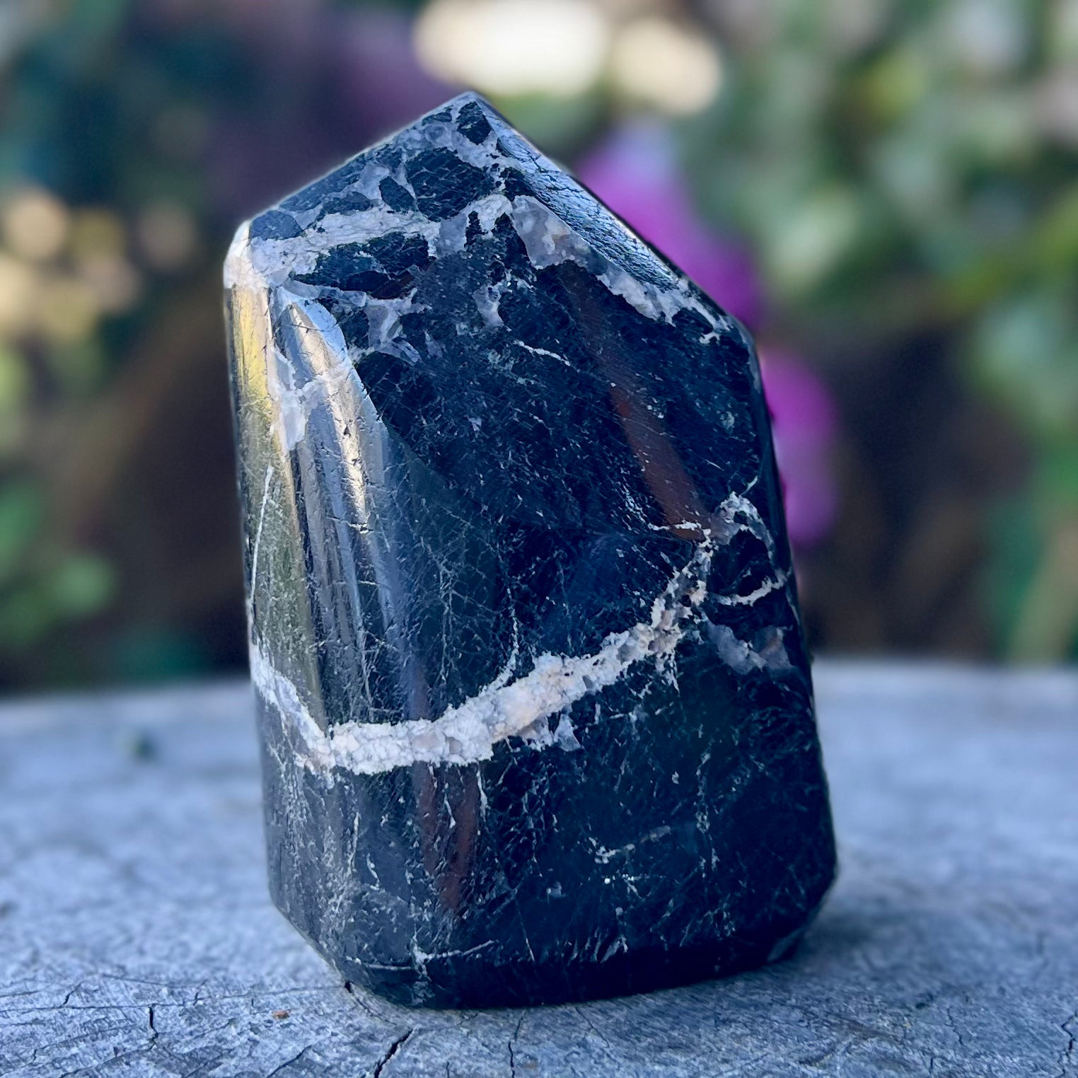 Black Tourmaline Freeform