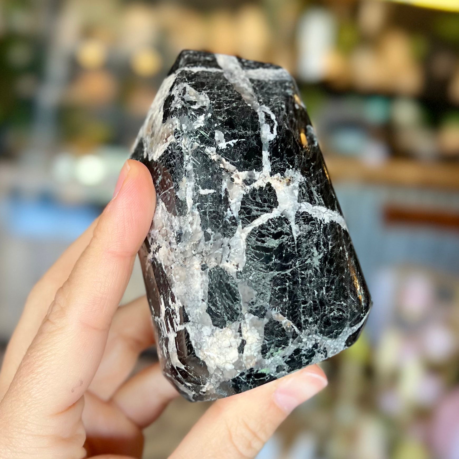 Black Tourmaline Freeform