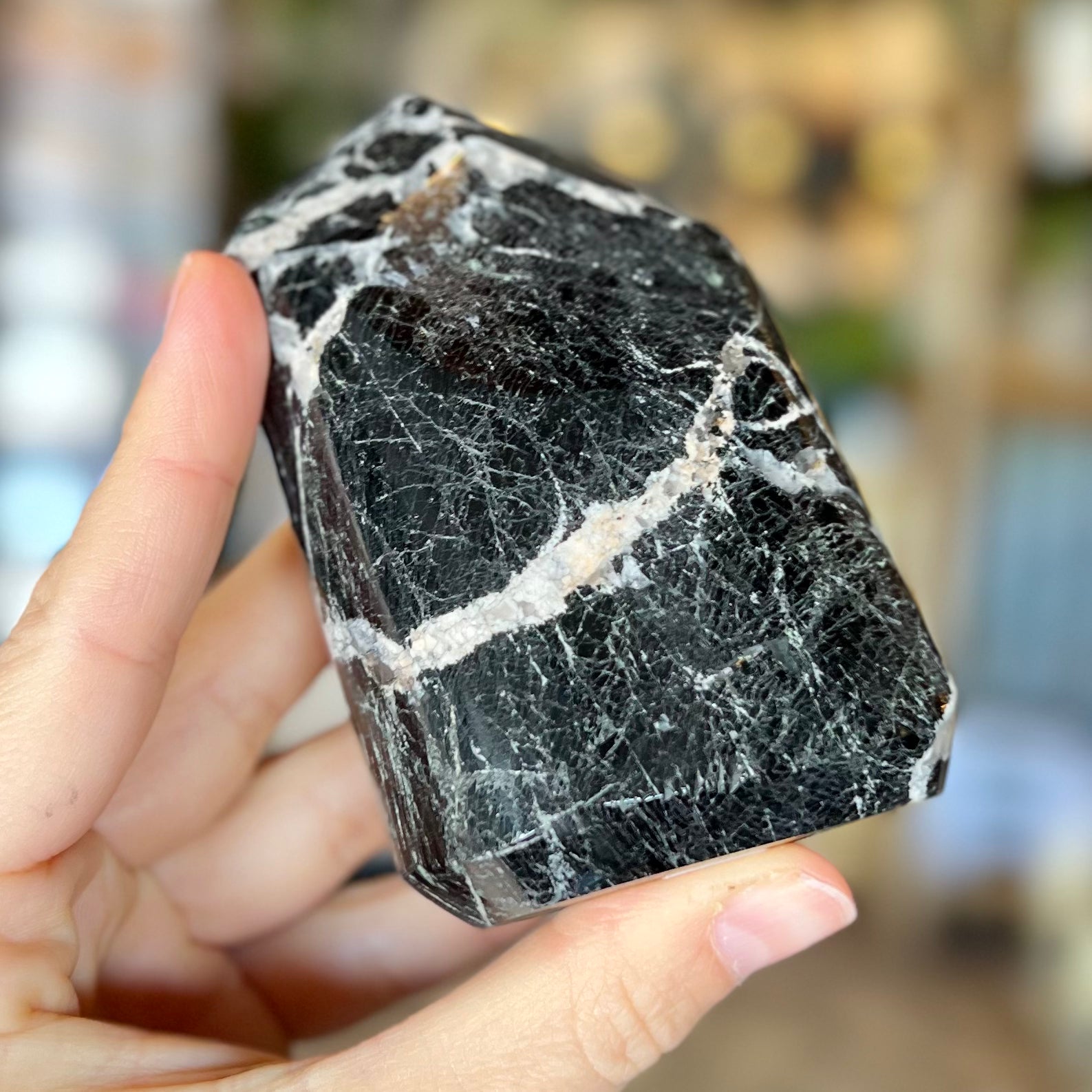 Black Tourmaline Freeform