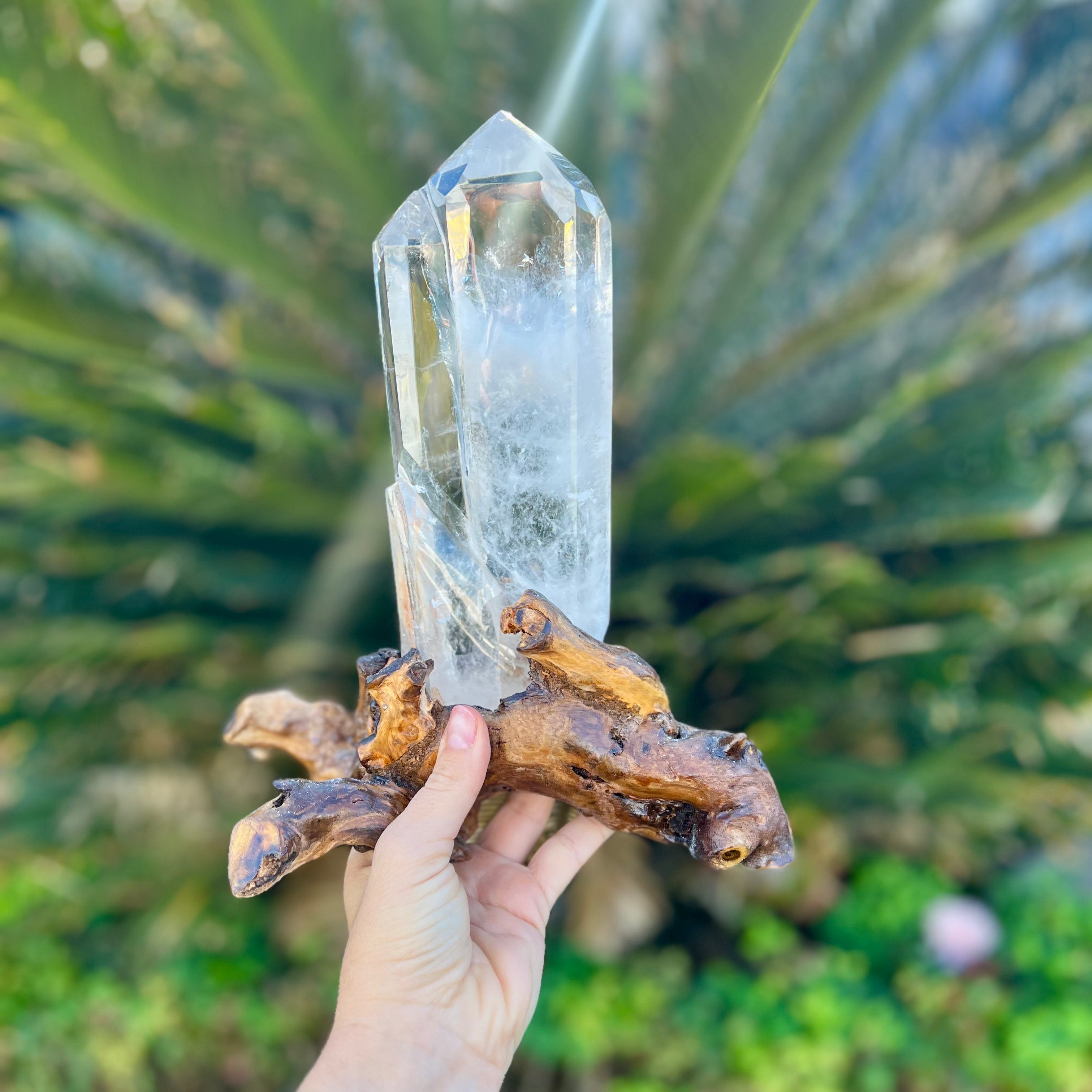 Clear Quartz Semi Raw Generator Point on wooden stand