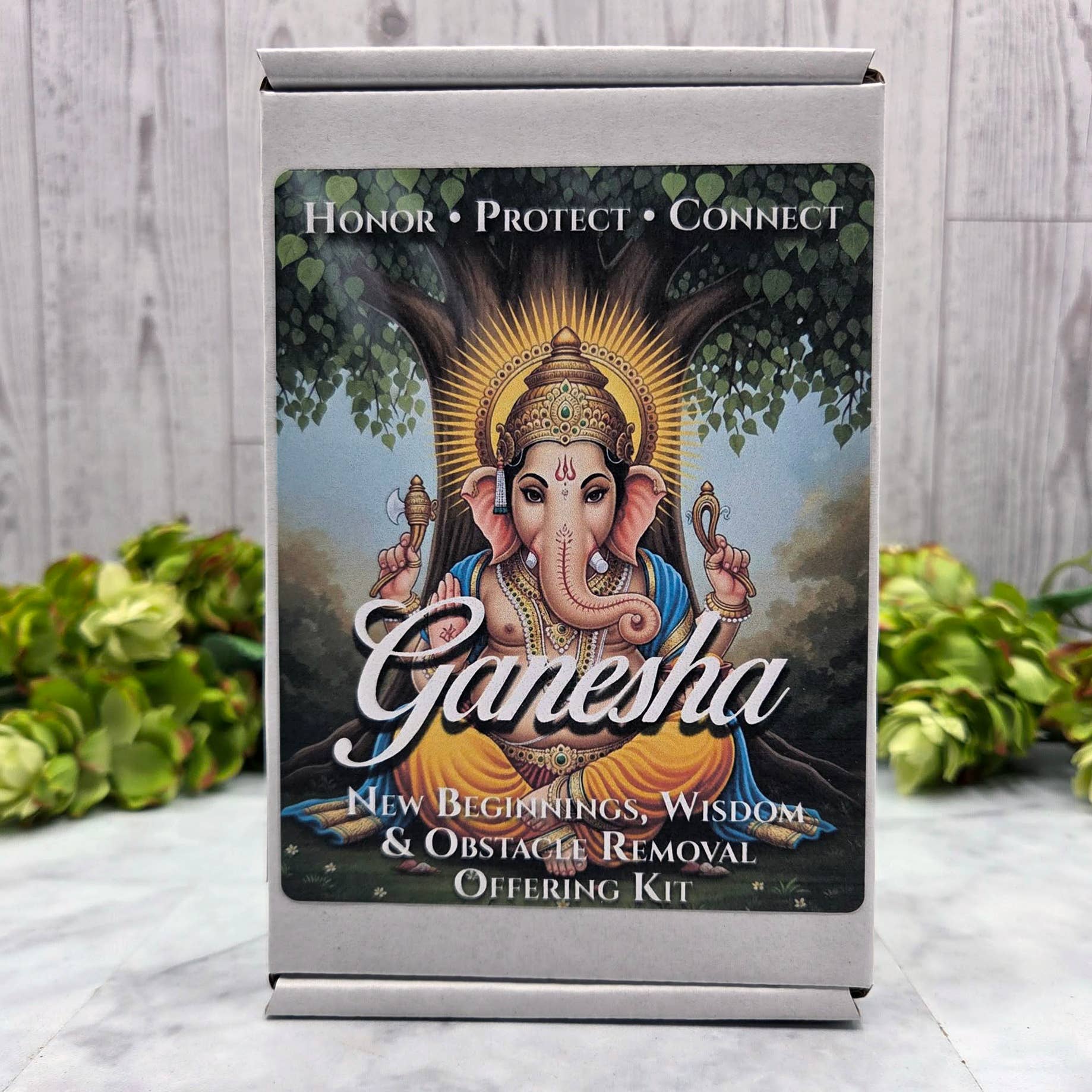 Ganesha – New Beginnings, Obstacle Removal Offering Kit