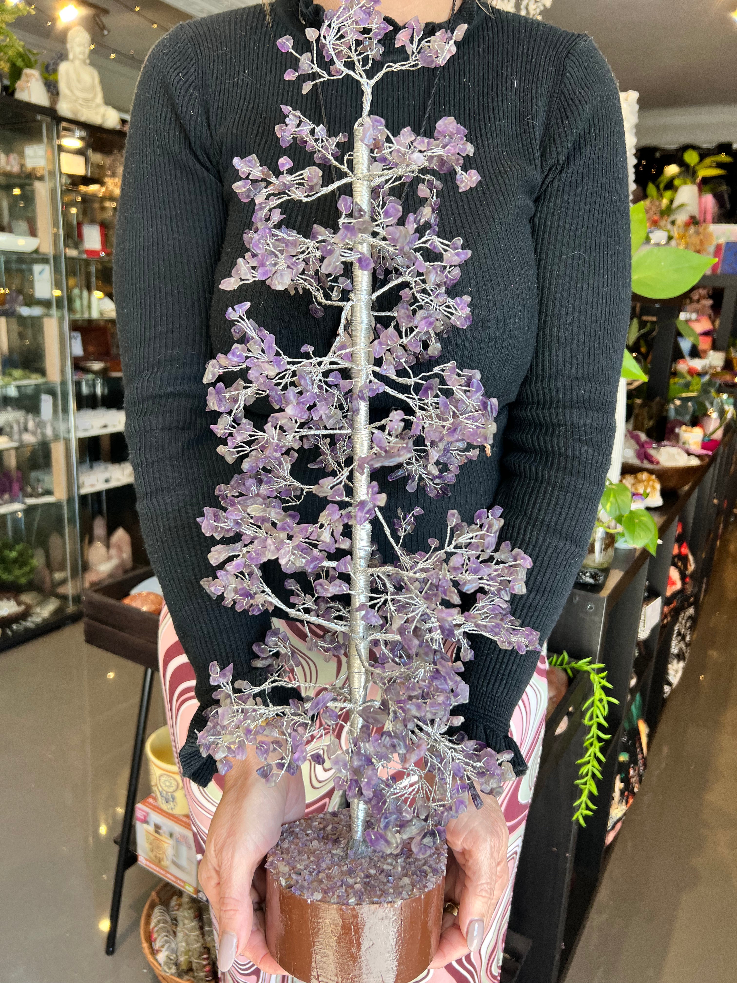 Extra Large Amethyst Tree - Muse Crystals & Mystical Gifts