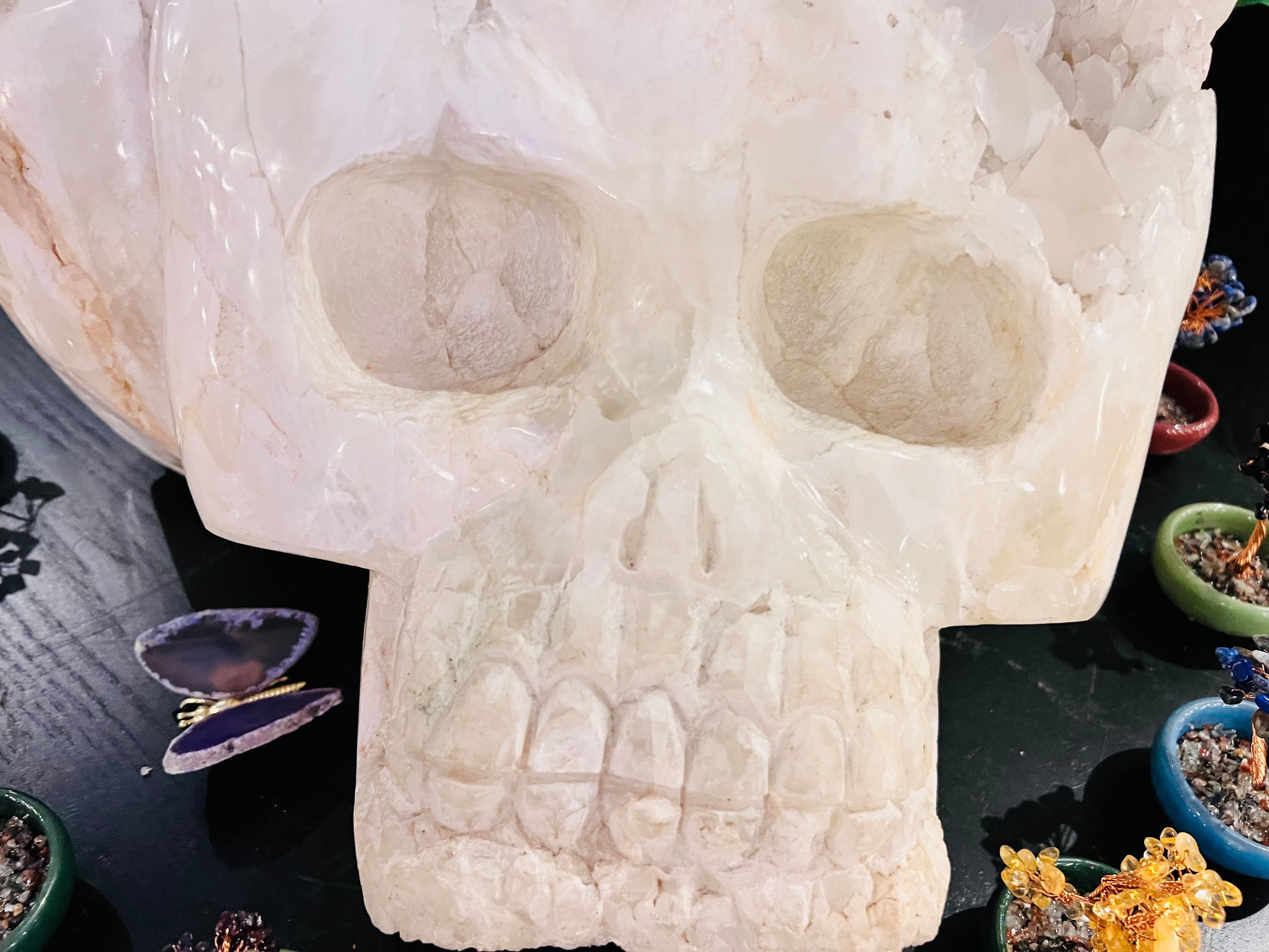 The Guardian - Massive Clear Quartz Skull - Muse Crystals & Mystical Gifts
