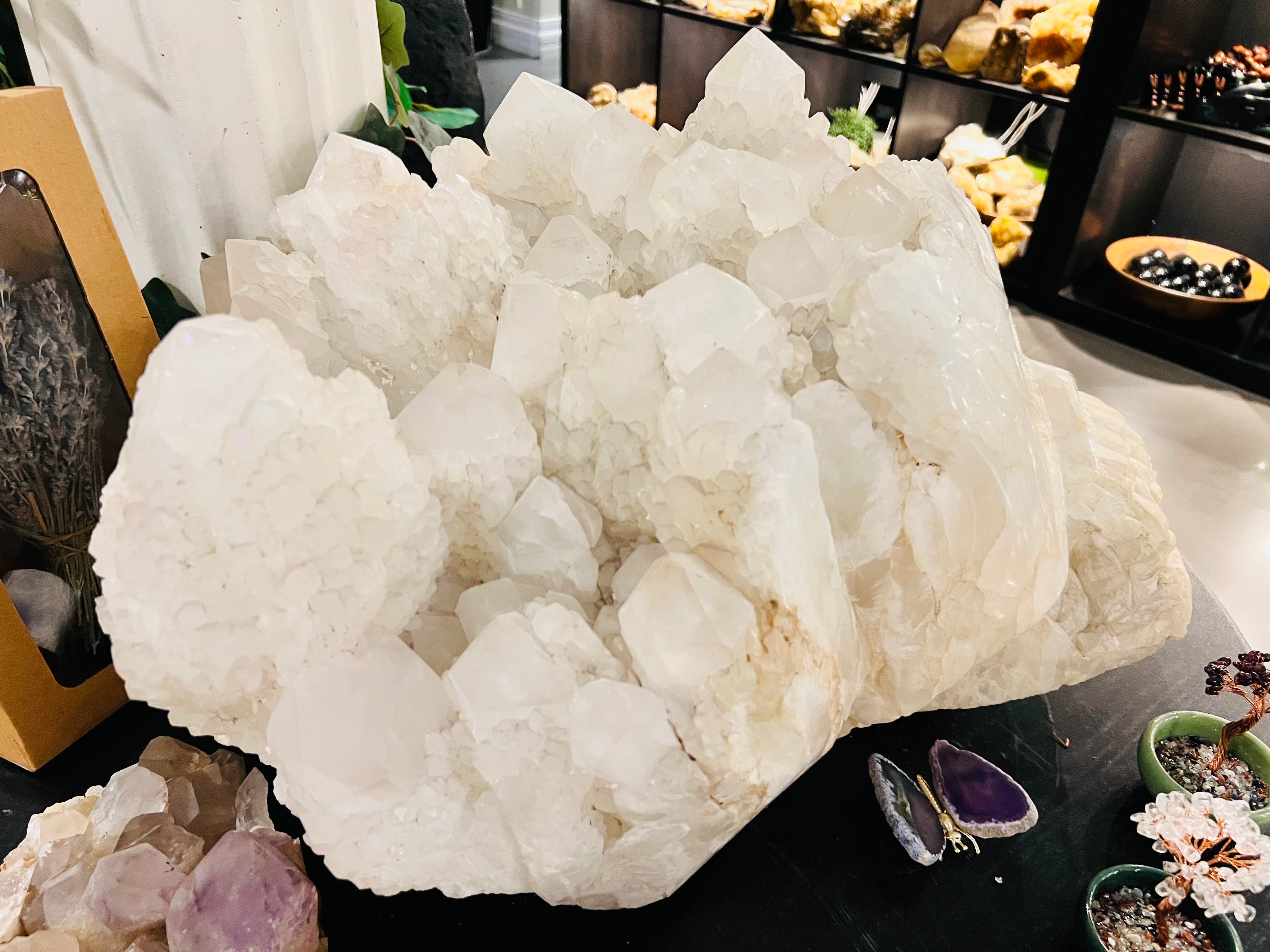 The Guardian - Massive Clear Quartz Skull - Muse Crystals & Mystical Gifts