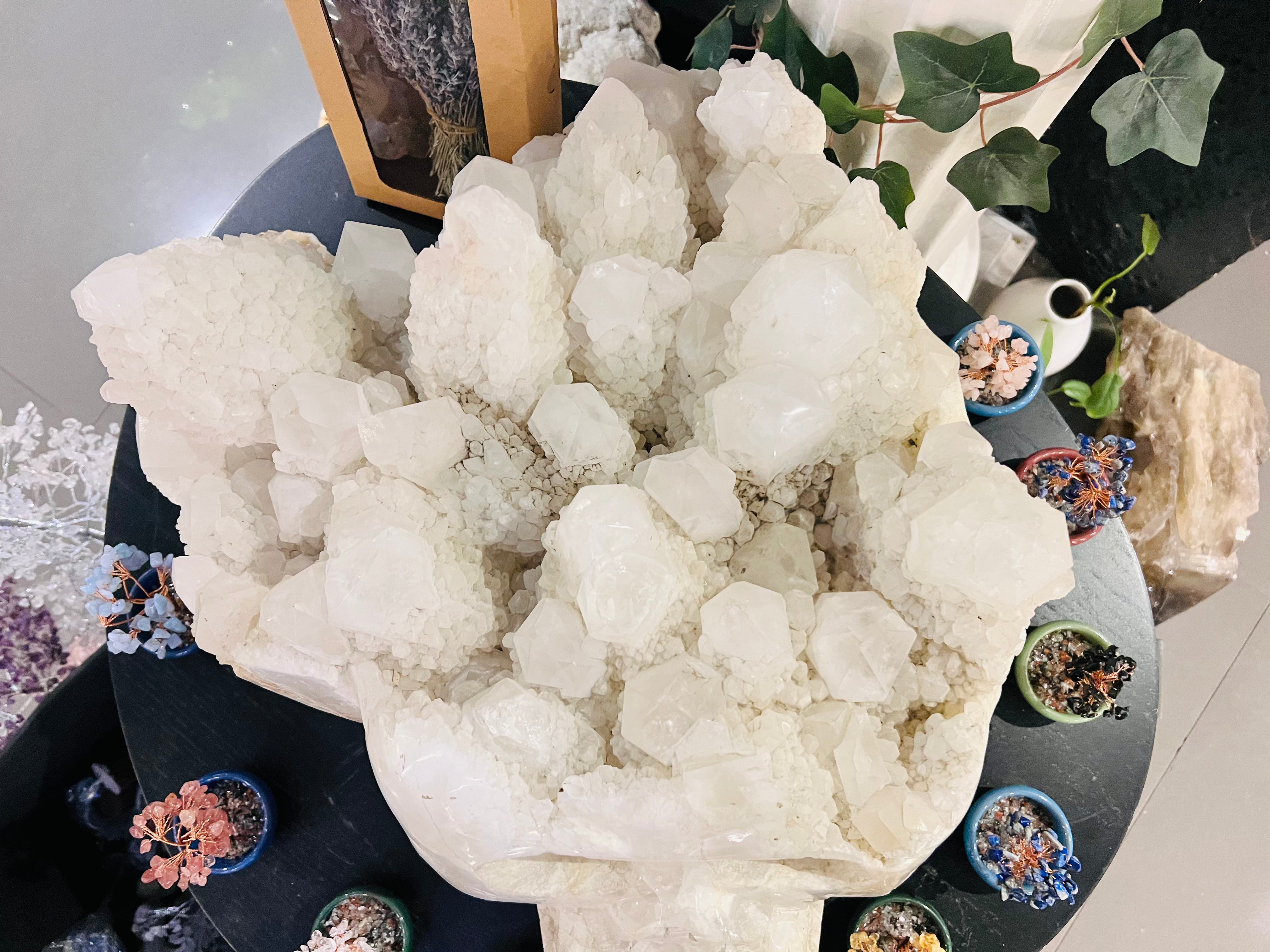 The Guardian - Massive Clear Quartz Skull - Muse Crystals & Mystical Gifts