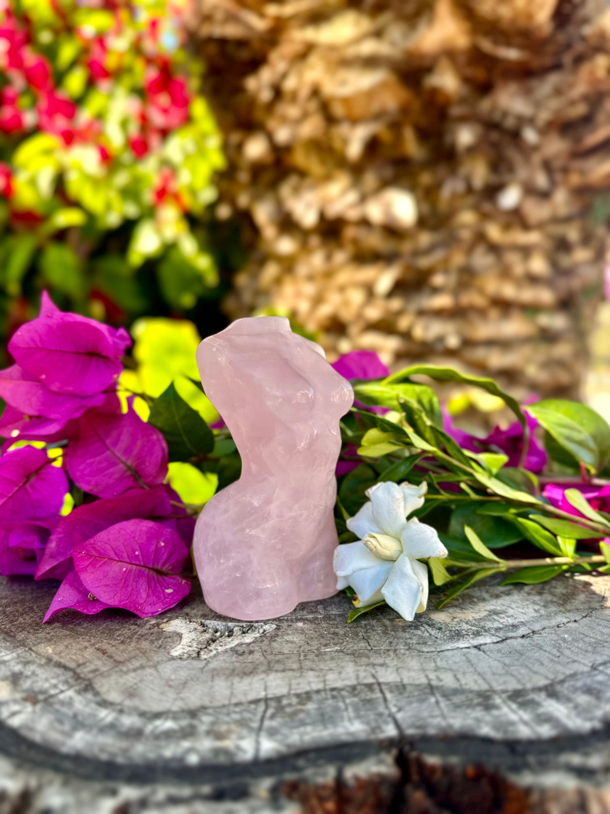 Explore our Unique Crystal Carvings Collection | Muse Crystals ...