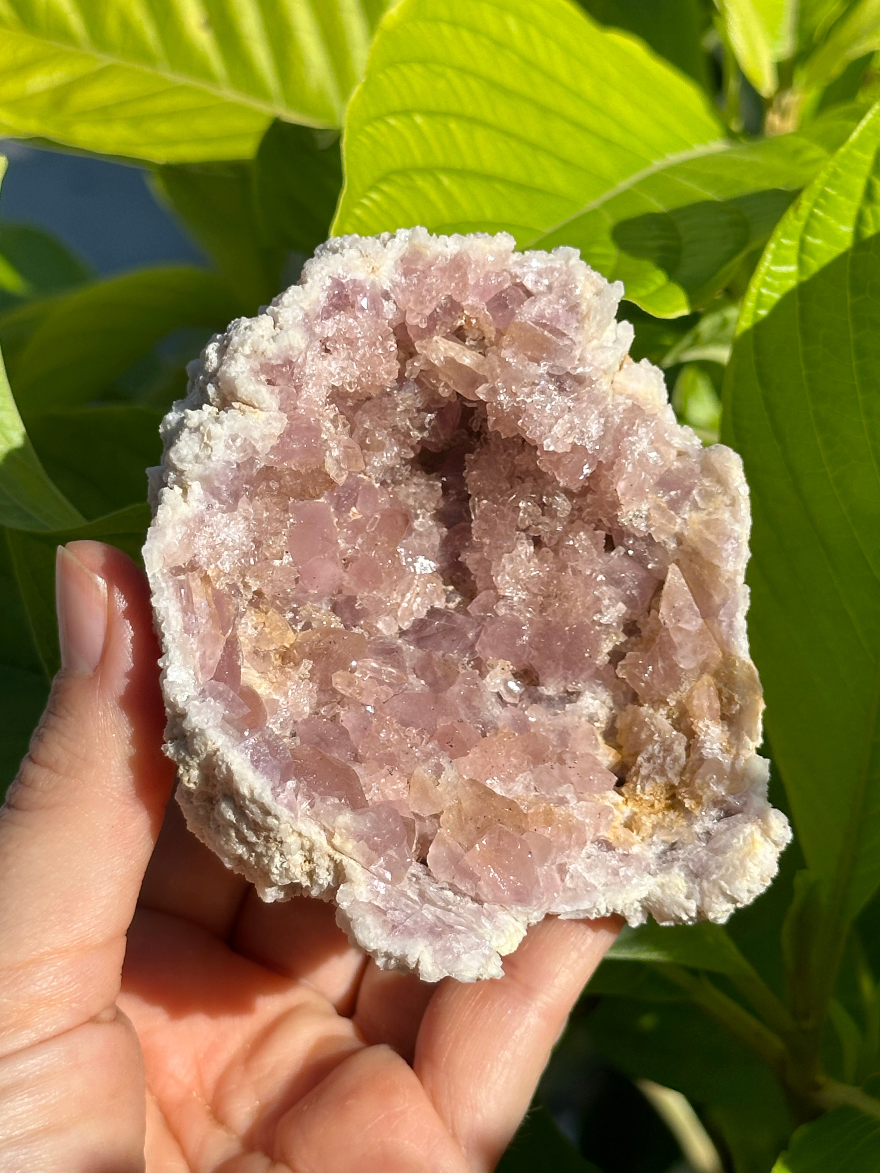 Geodes & Clusters Collection | Muse Crystals & Mystical Gifts