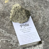 Pyrite Prosperity Cube