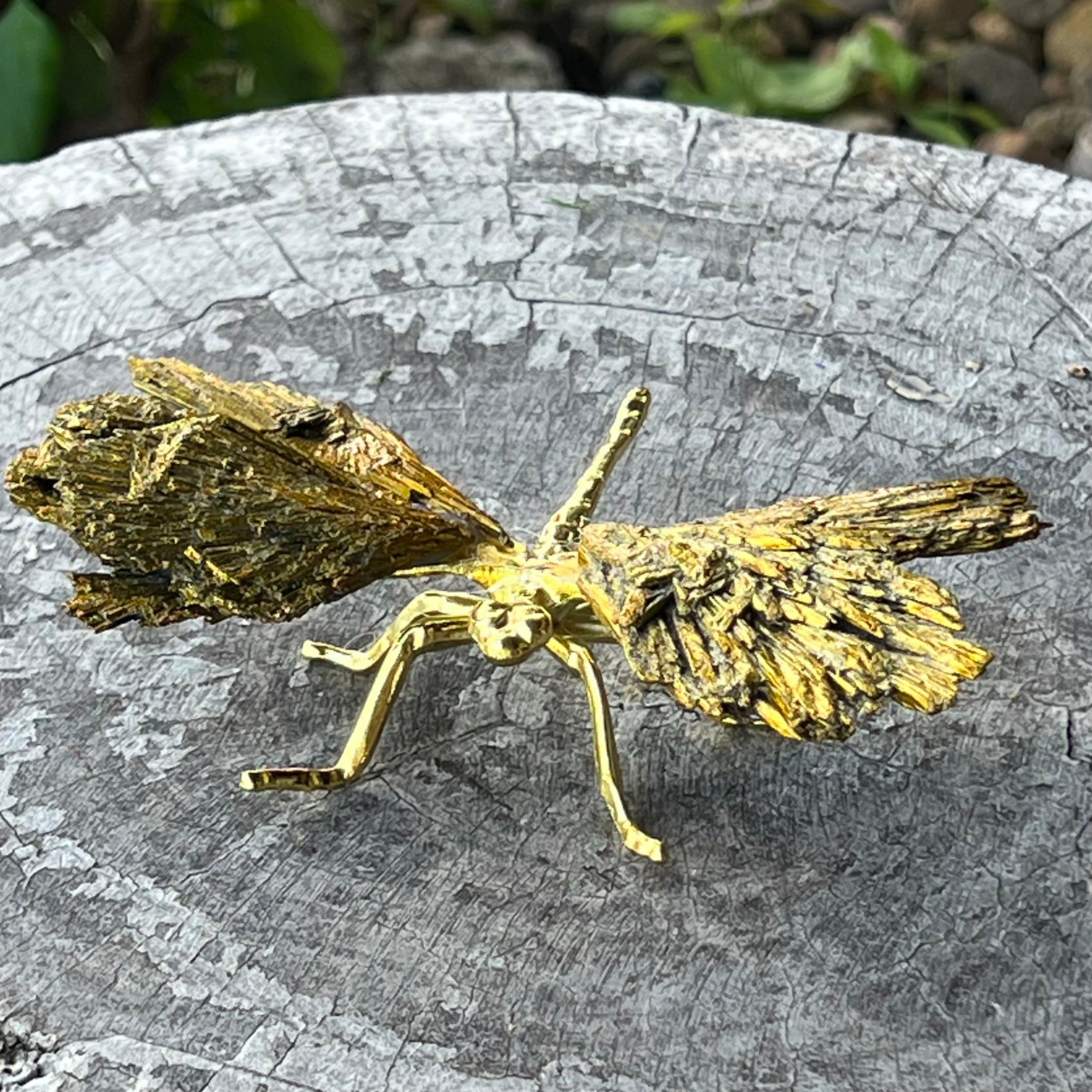 Dragonfly ~ Gold Kyanite Electroplate