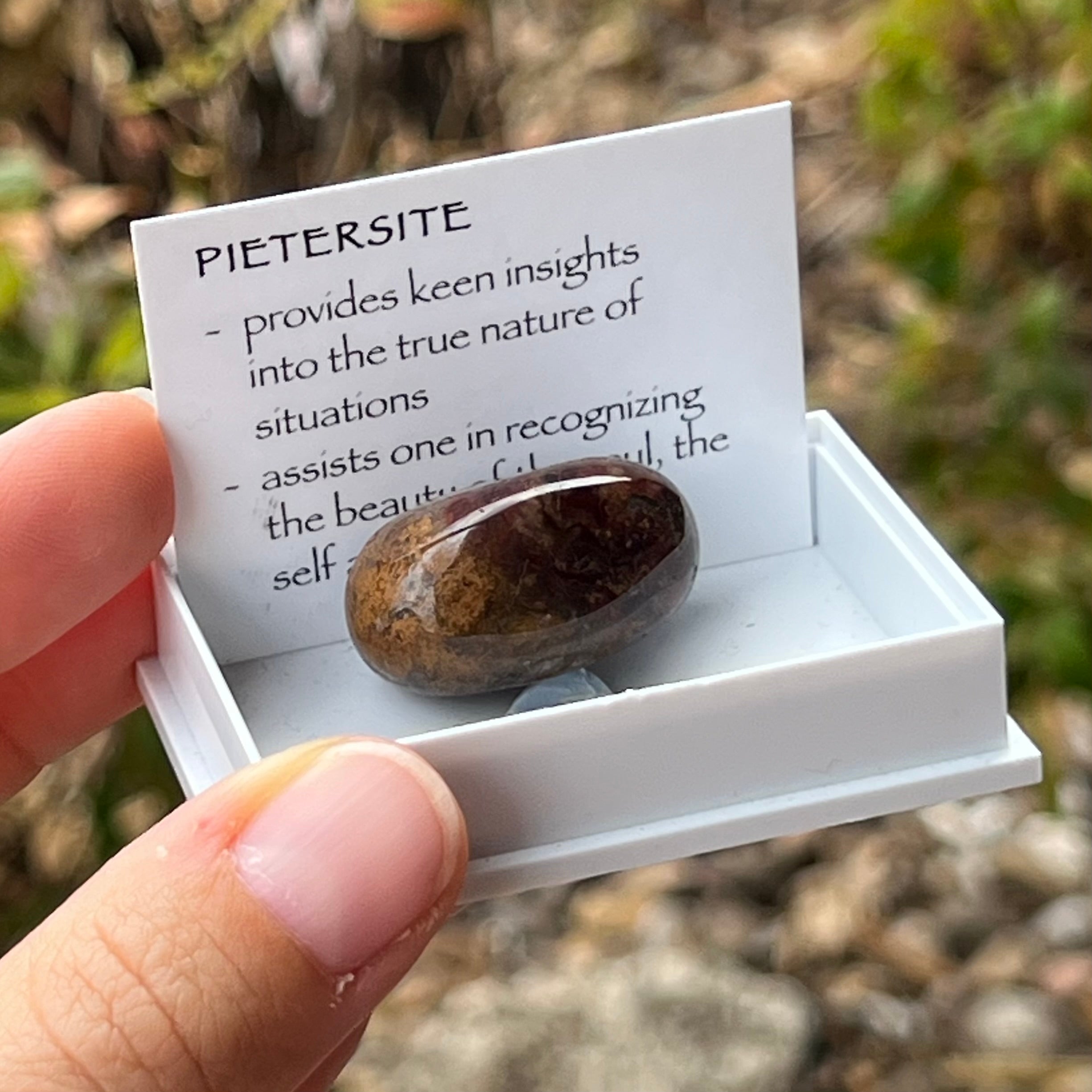 Pietersite ~ Specialty Boxed Crystal