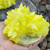 Sulphur Cluster Large