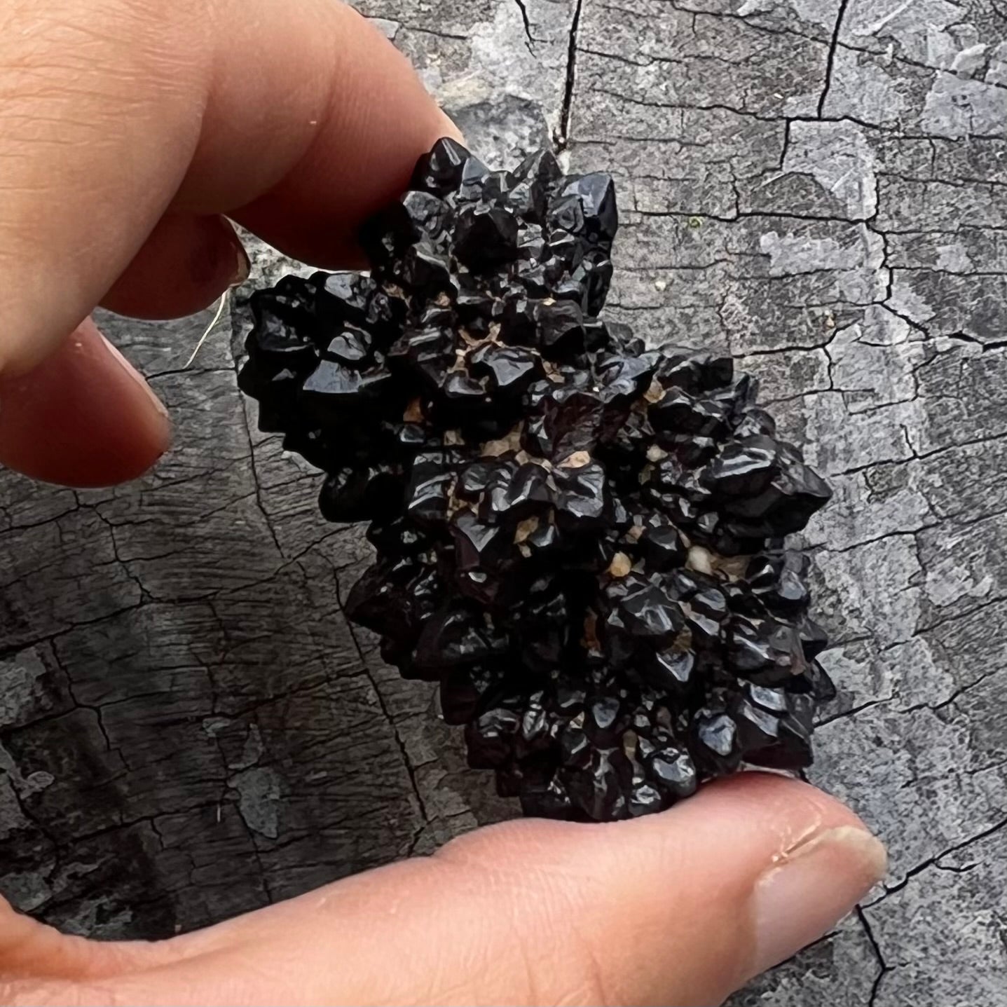 Prophecy Stone ~ Specialty Crystal ~ 4