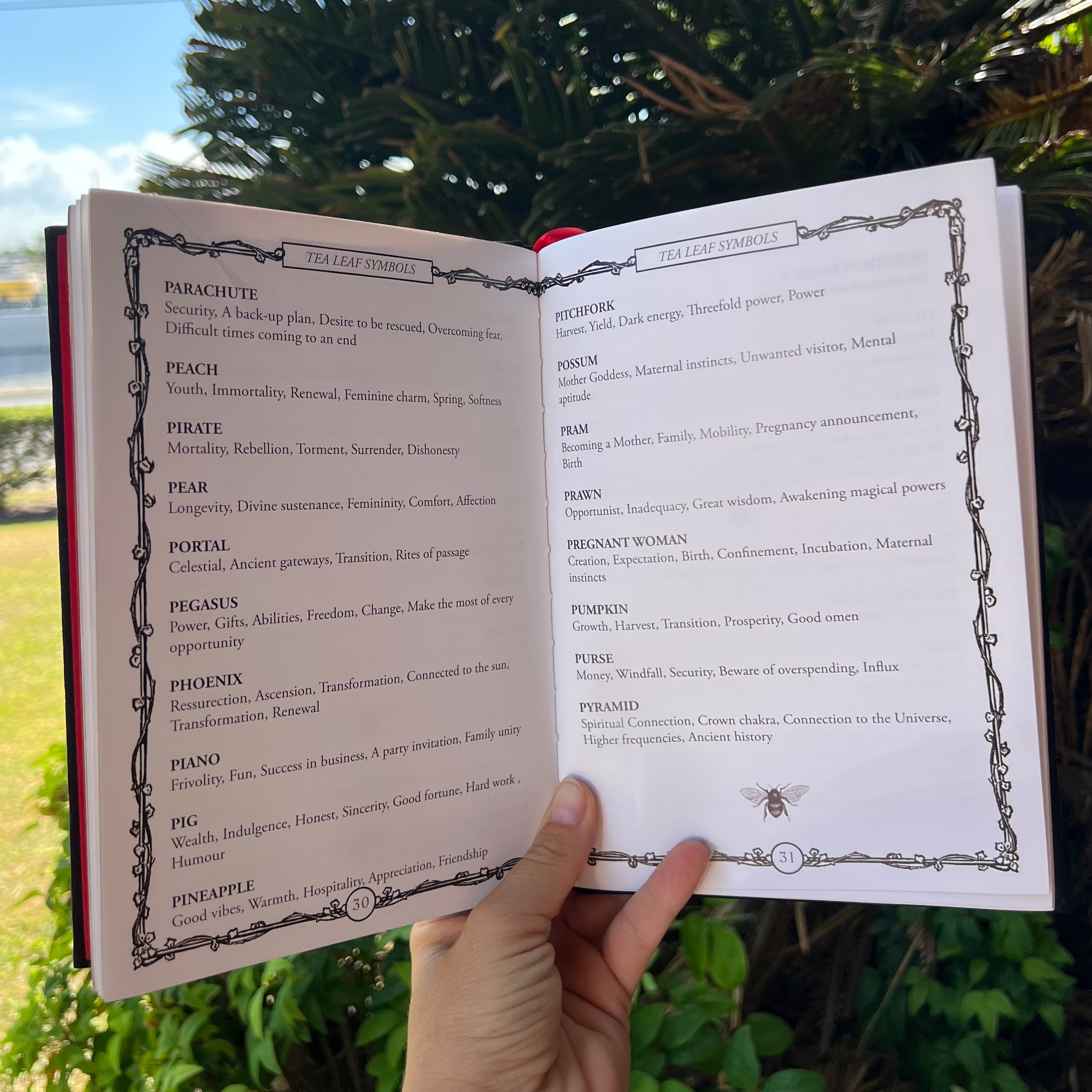 Symbols for Divination ; An illustrated guide for Fortune Tellers