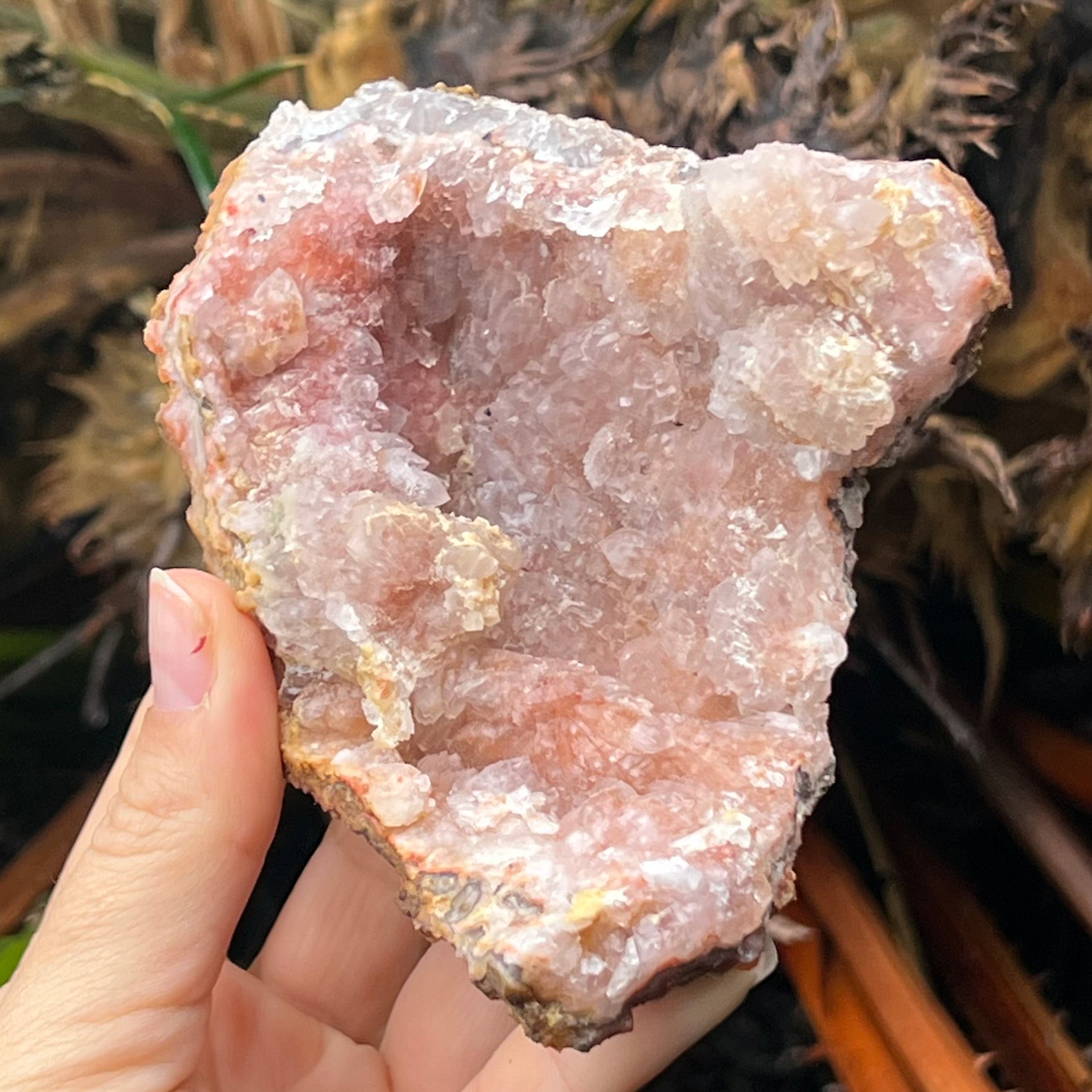 Pink Amethyst Cluster