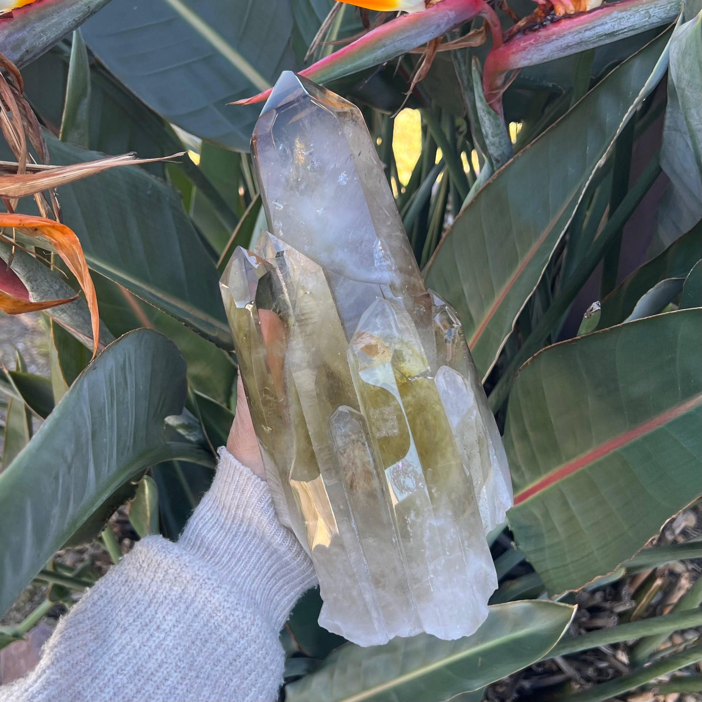 Spectacular Citrine Point Cluster on Stand