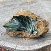 RARE… Vivianite on Matrix Specimen